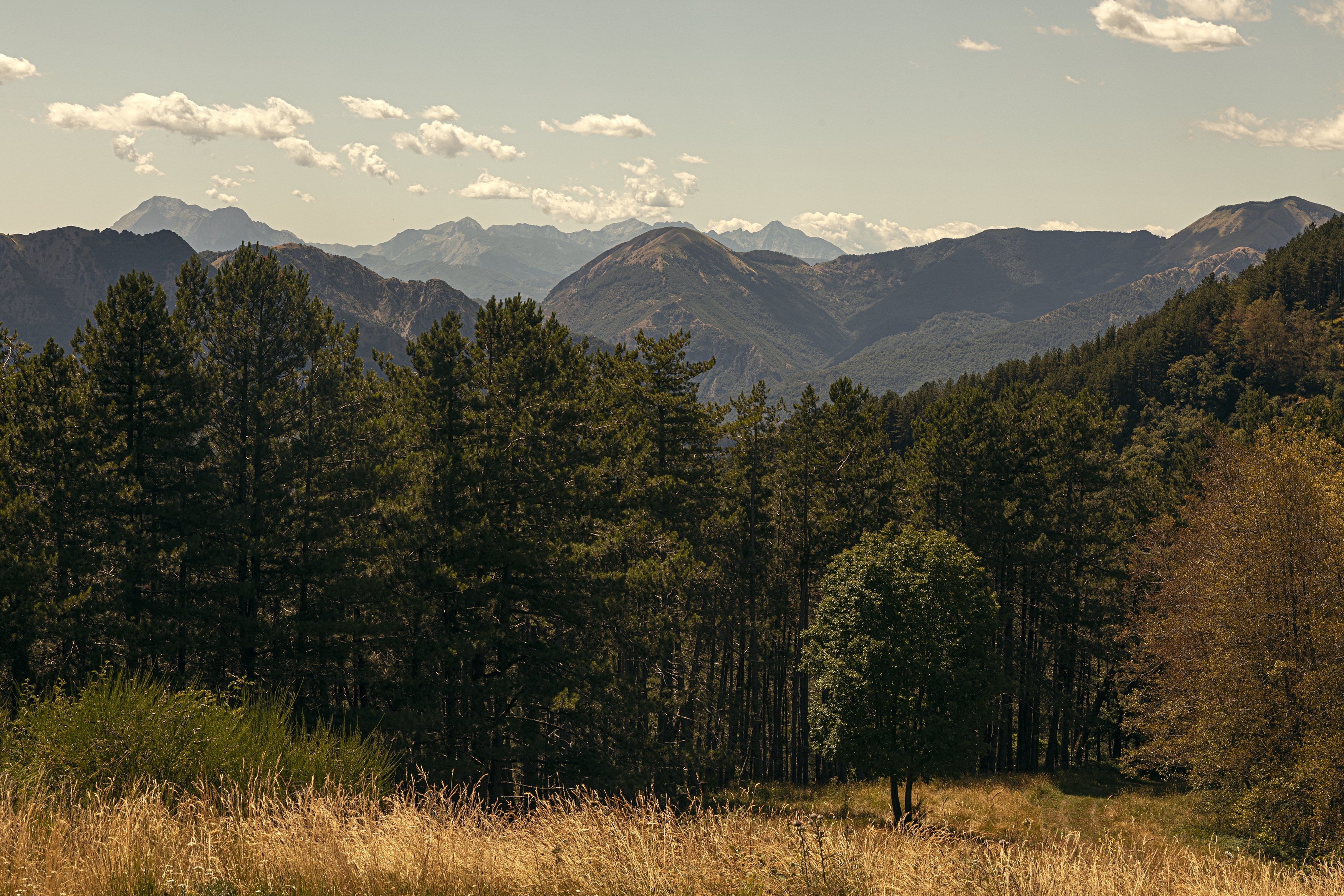 oasyhotel nature 207