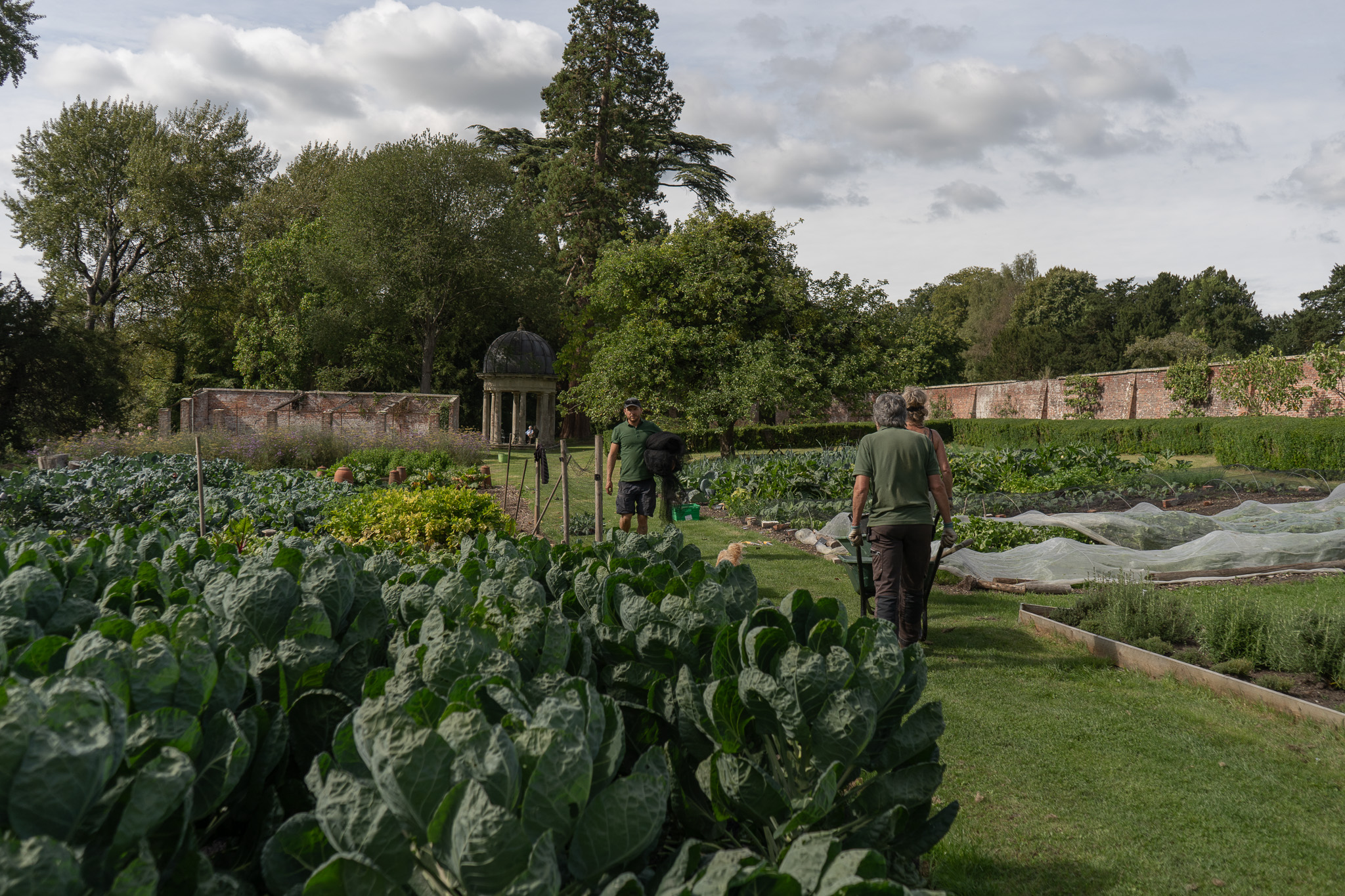 no dig kitchen garden