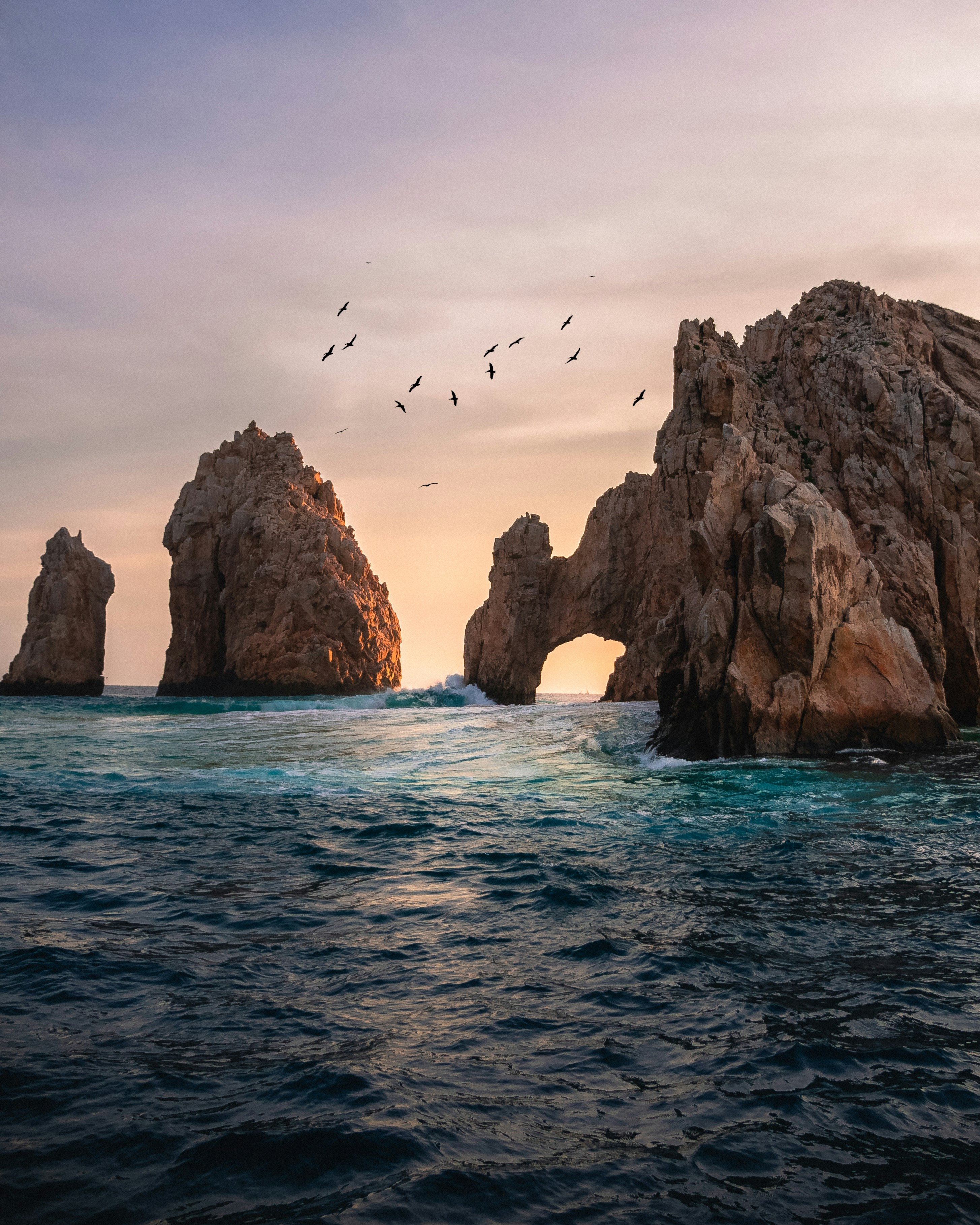 cabo san lucas