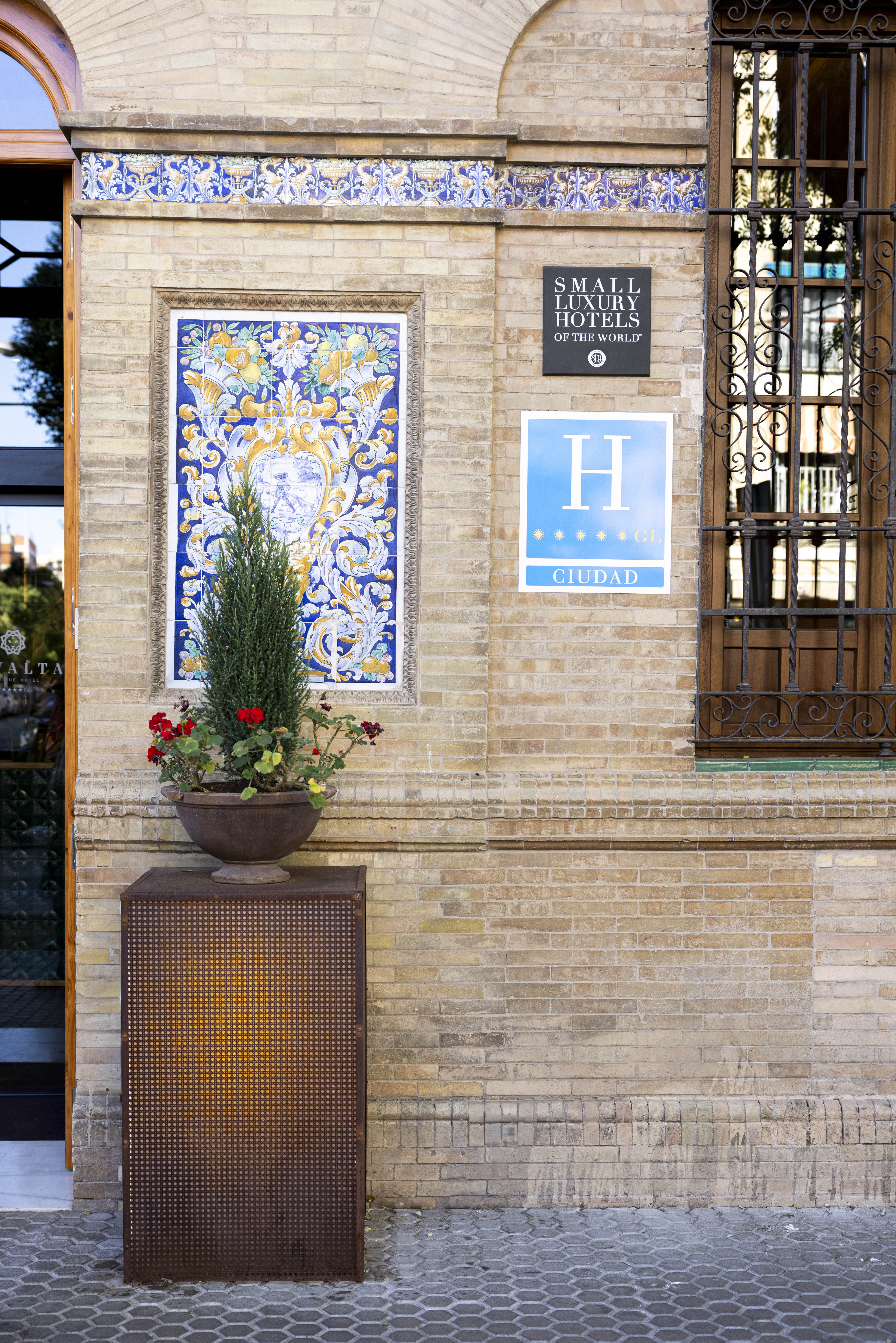 cavalta 20 mayo 2025 6