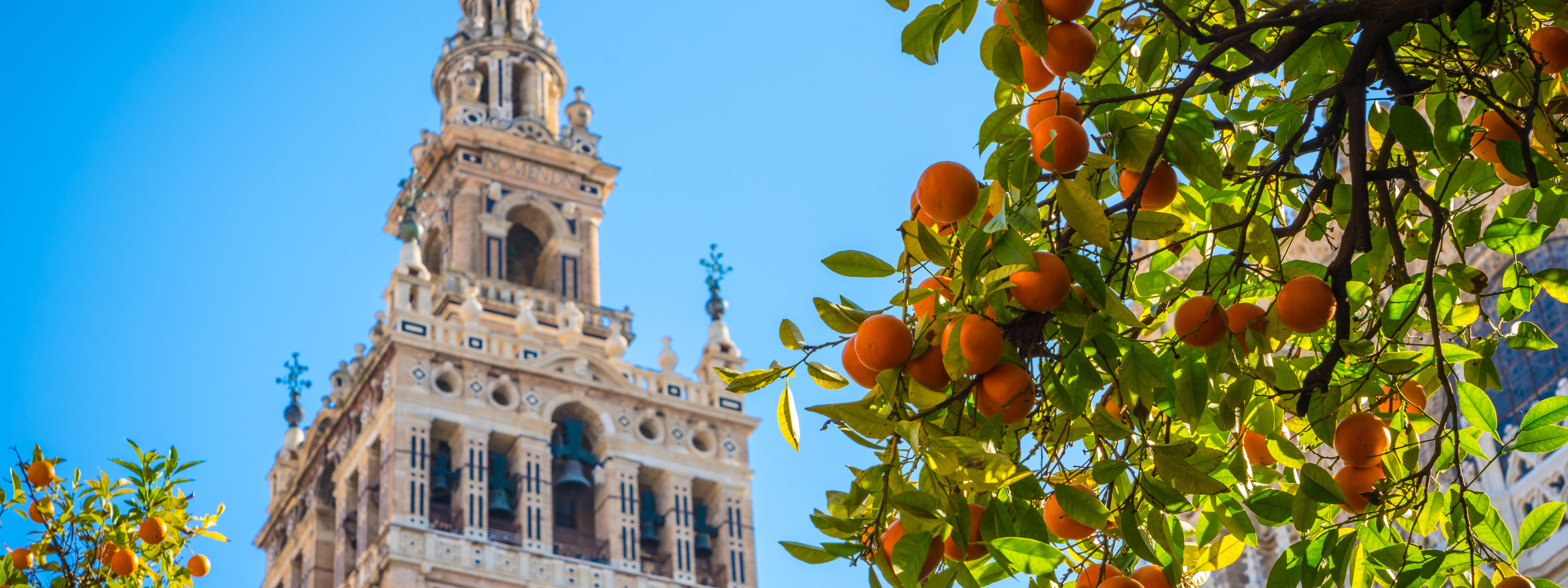 cavalta boutique hotel sevilla spain