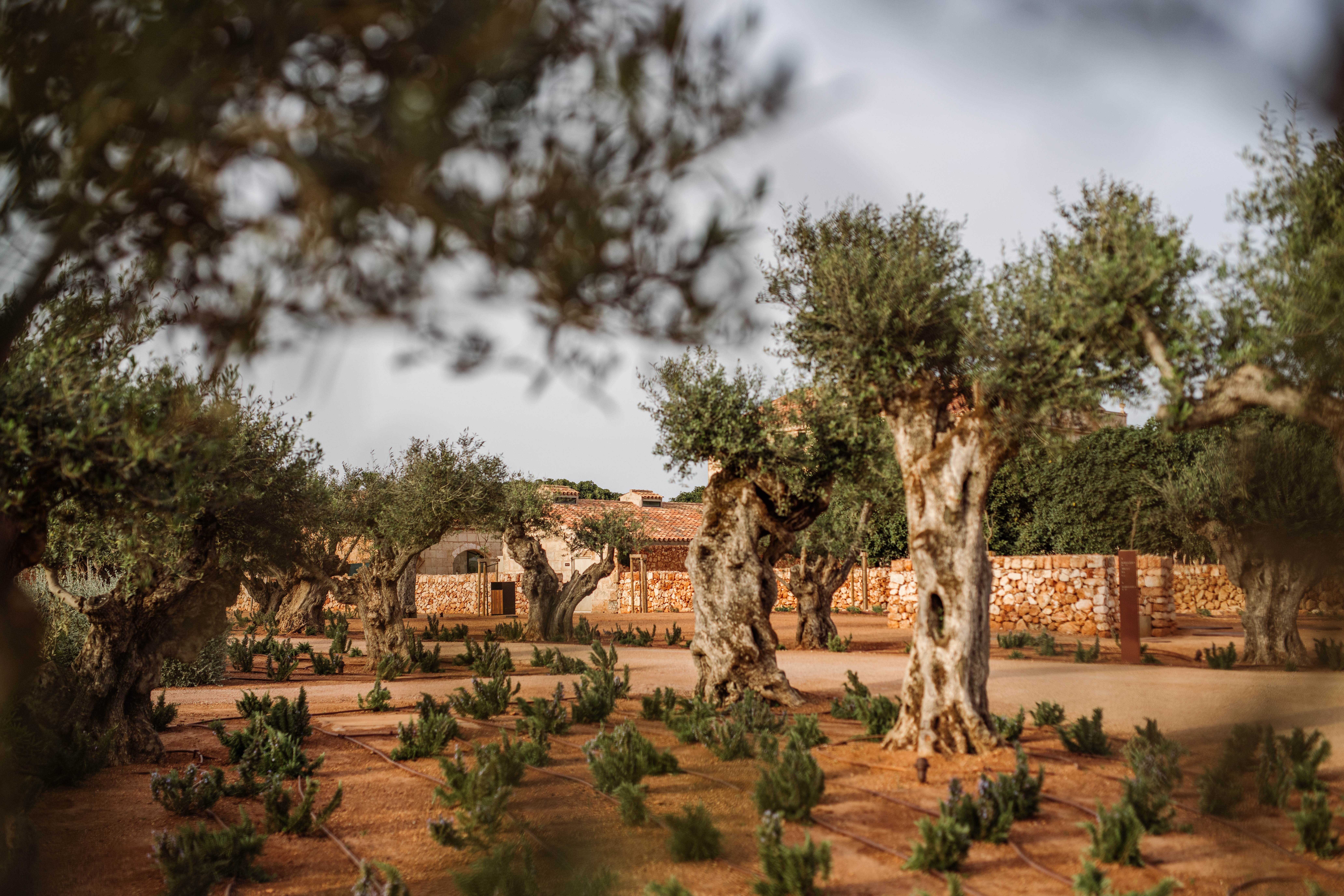 sonvell april hr 220