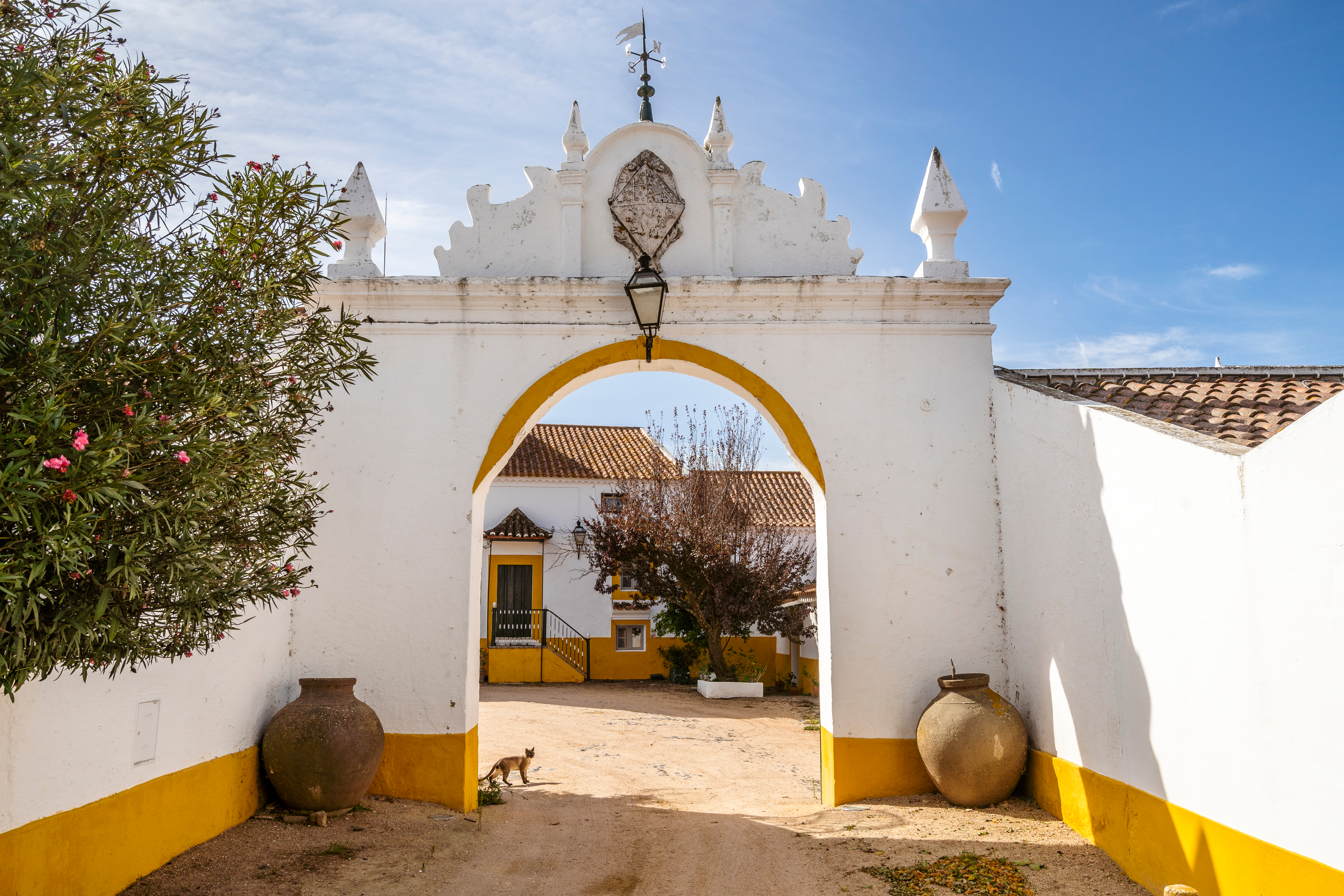 shutterstock 1904736685