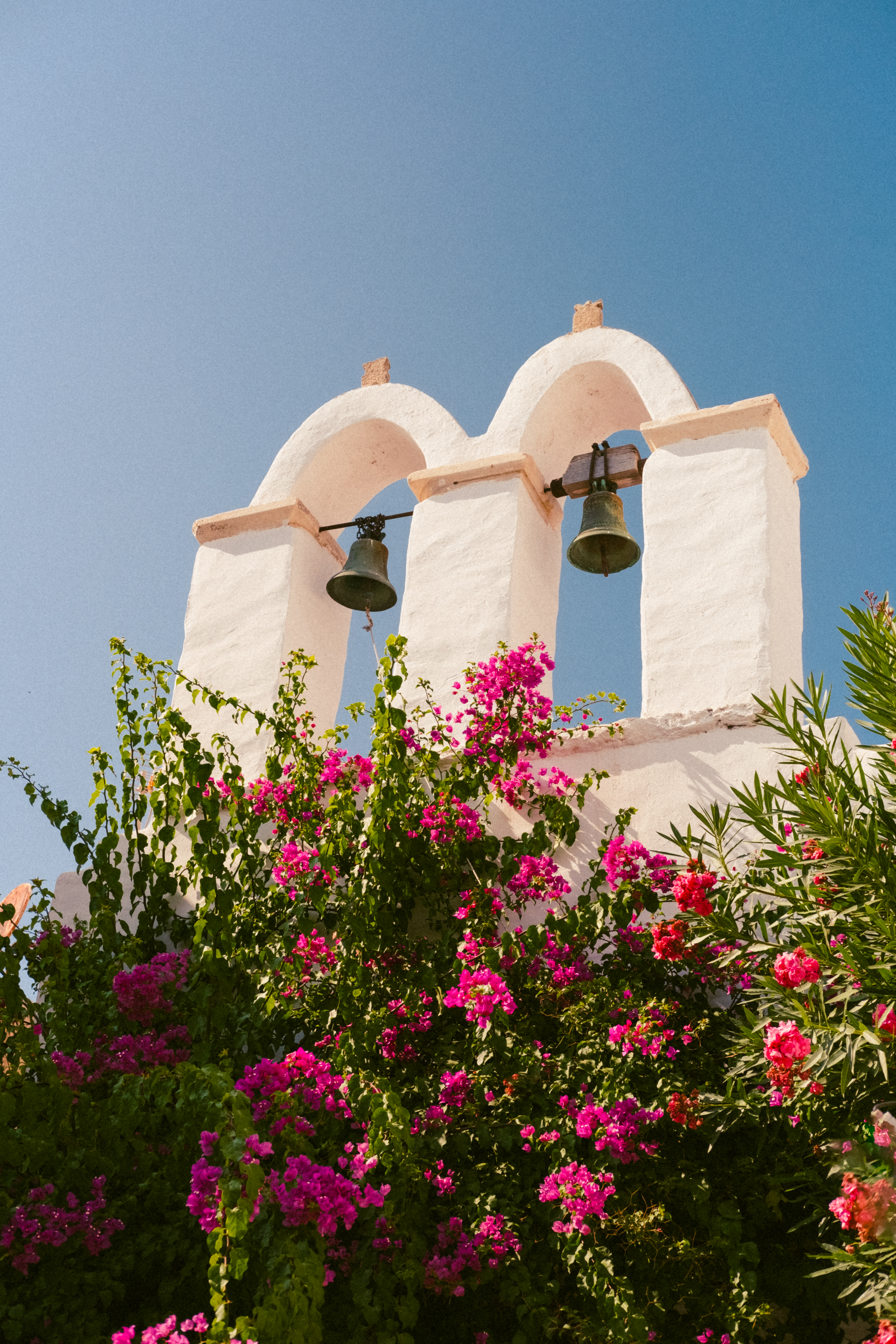 rhodos bloemen straat