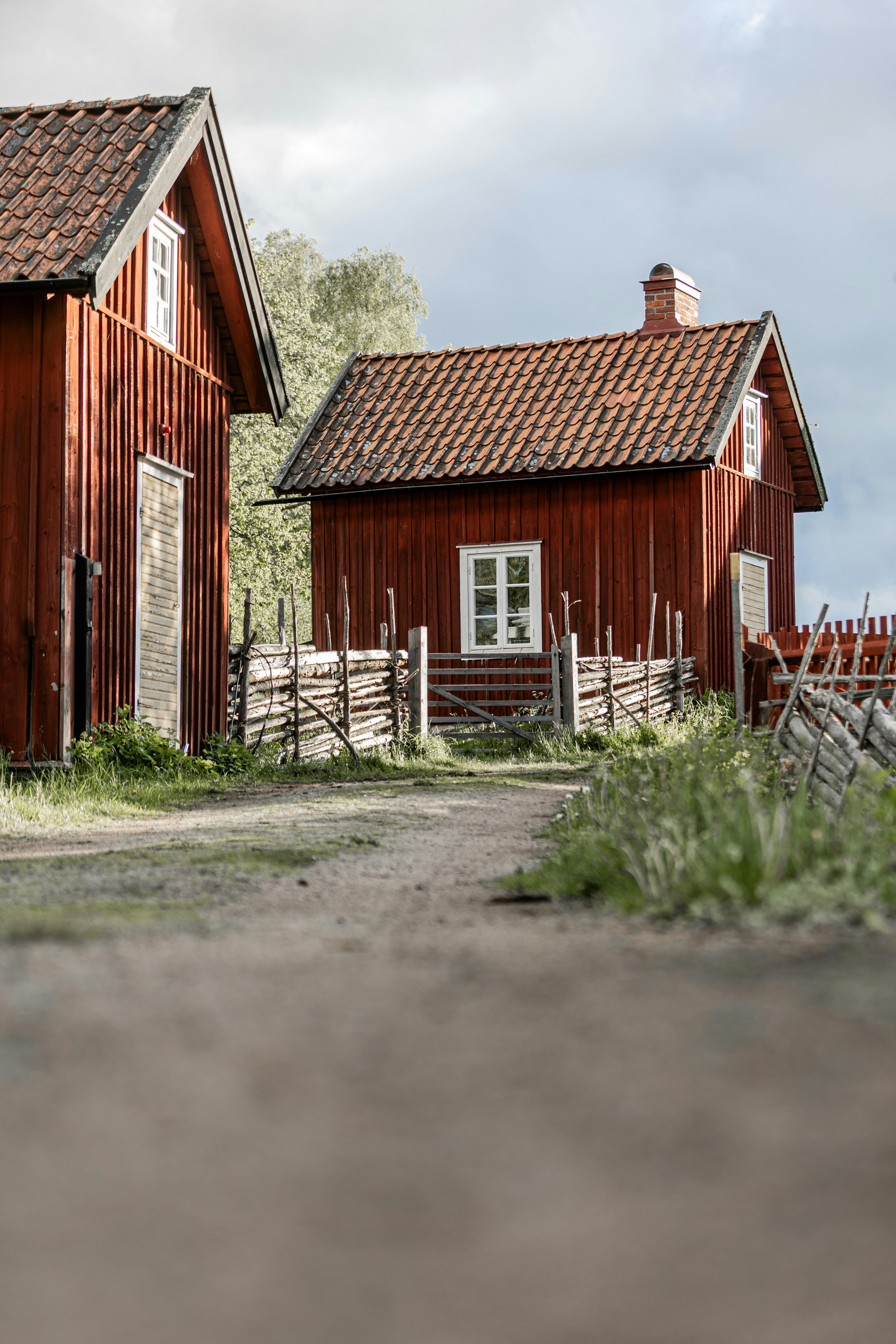 carl tronders xs2c7uu233g unsplash