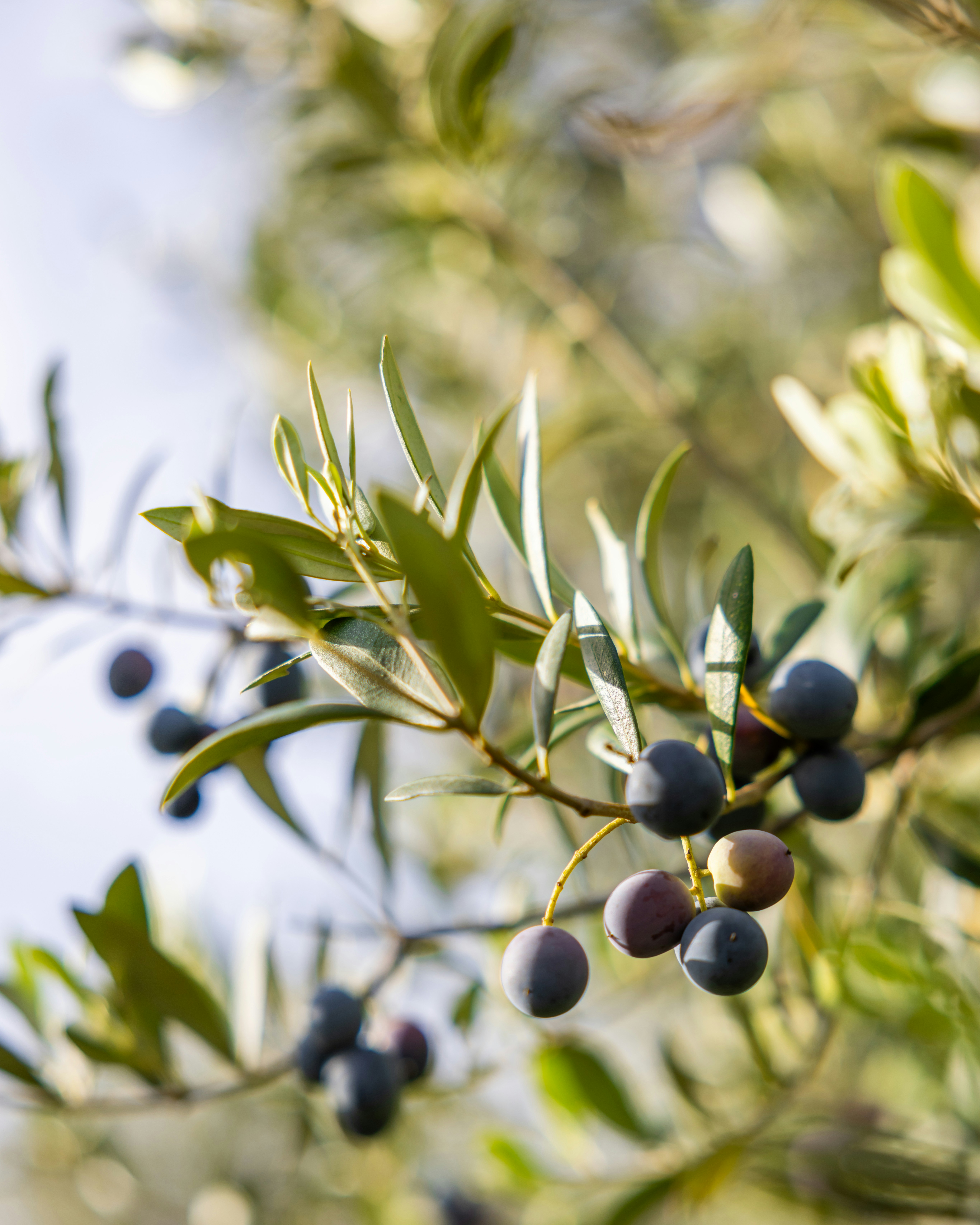 quentin martinez i7cpfsidkkc unsplash