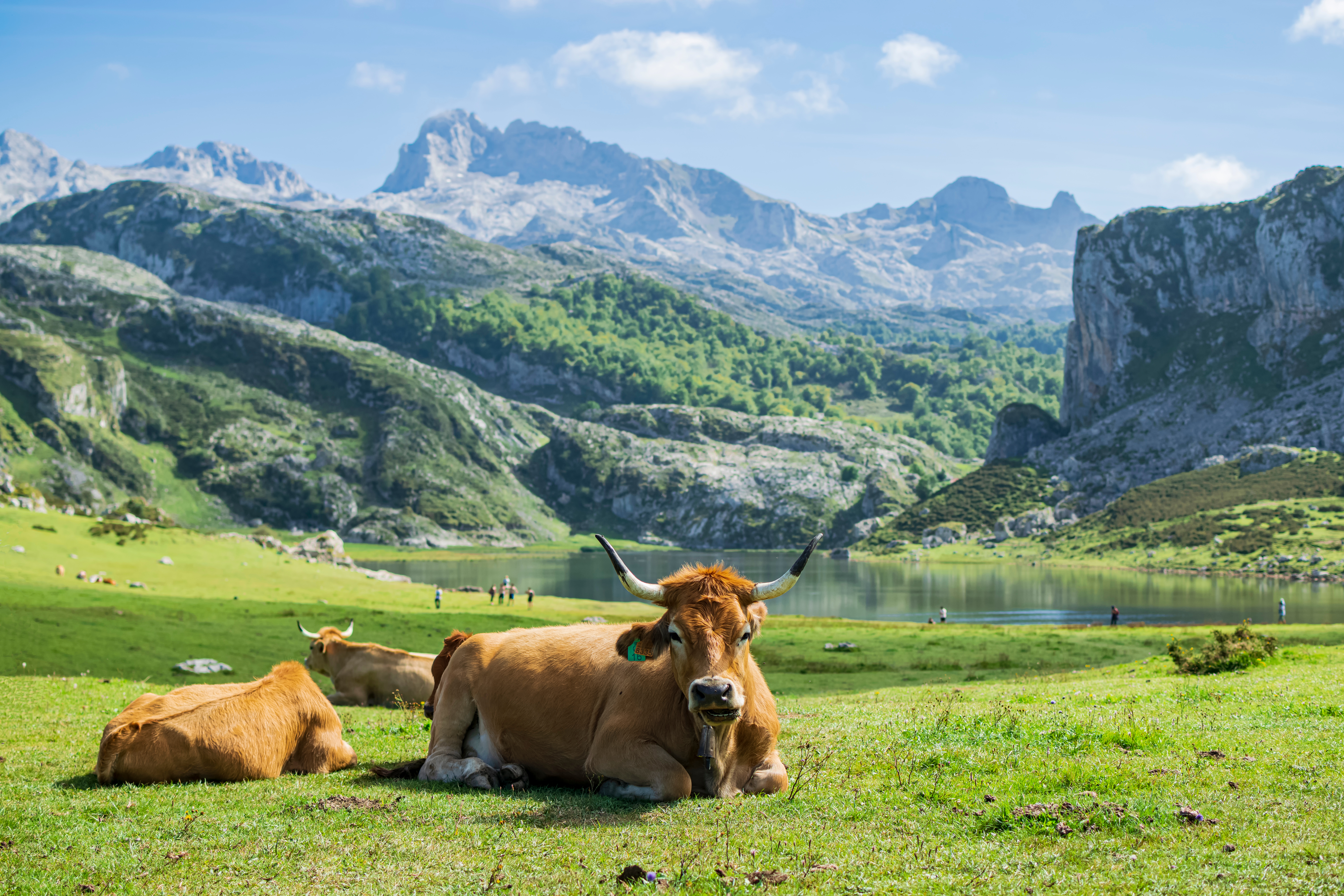 los picos de europa