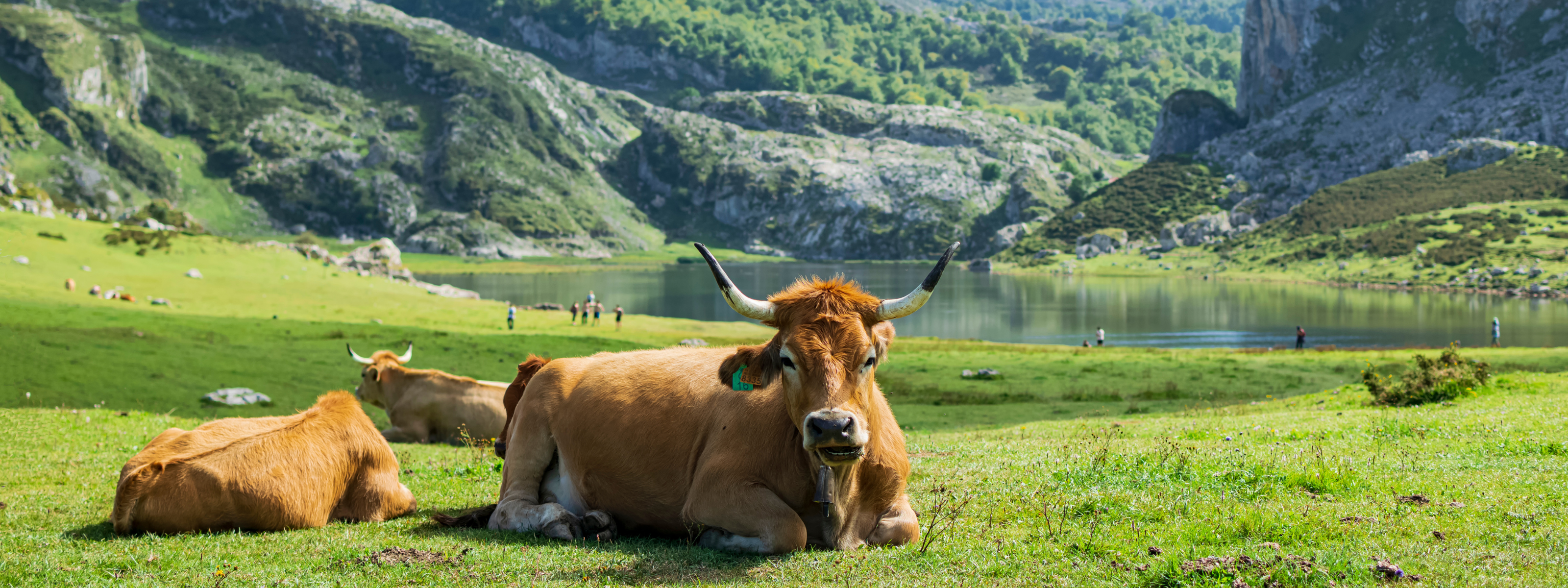 rondreis noord spanje galicie picos de europa