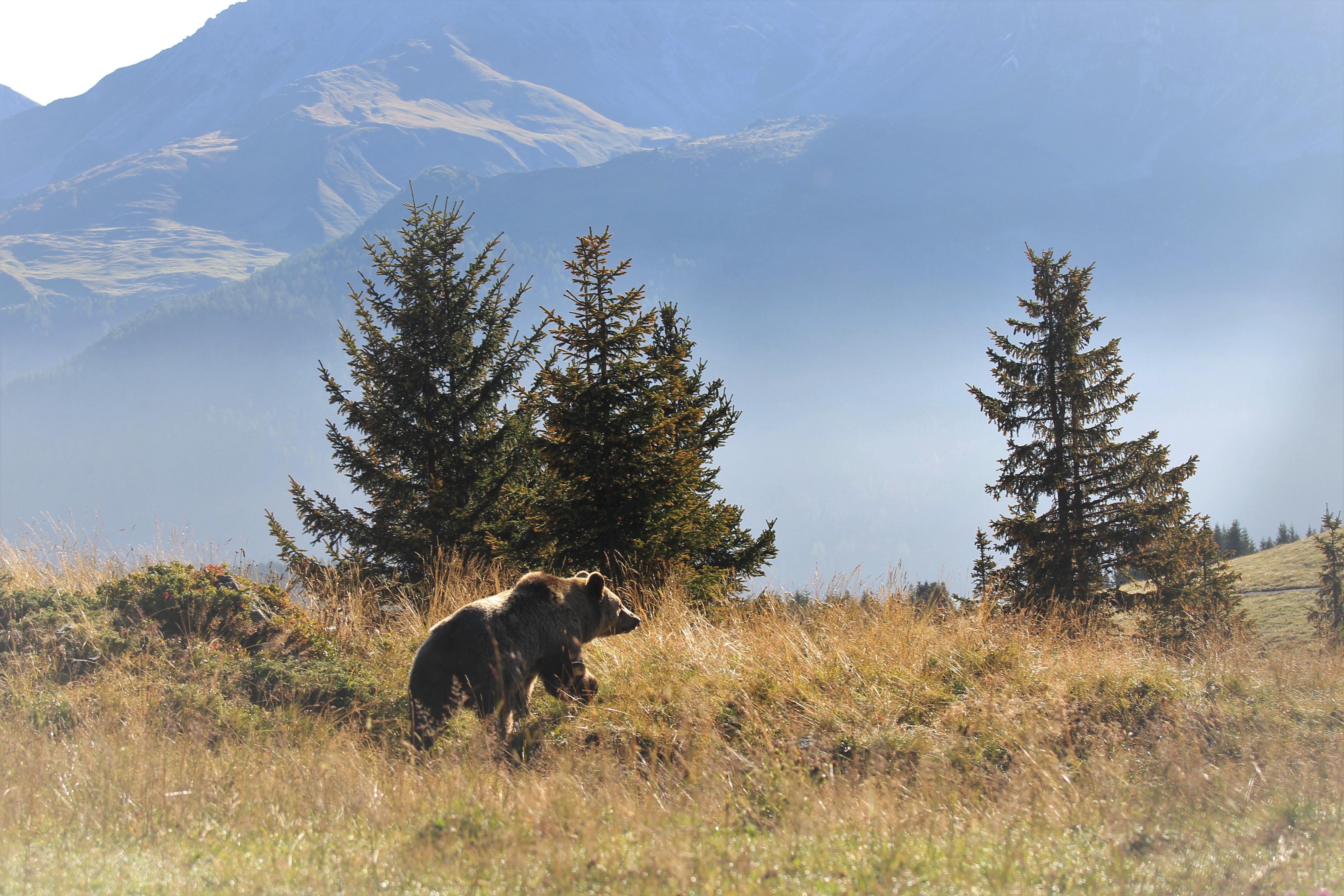 Vakantie Arosa