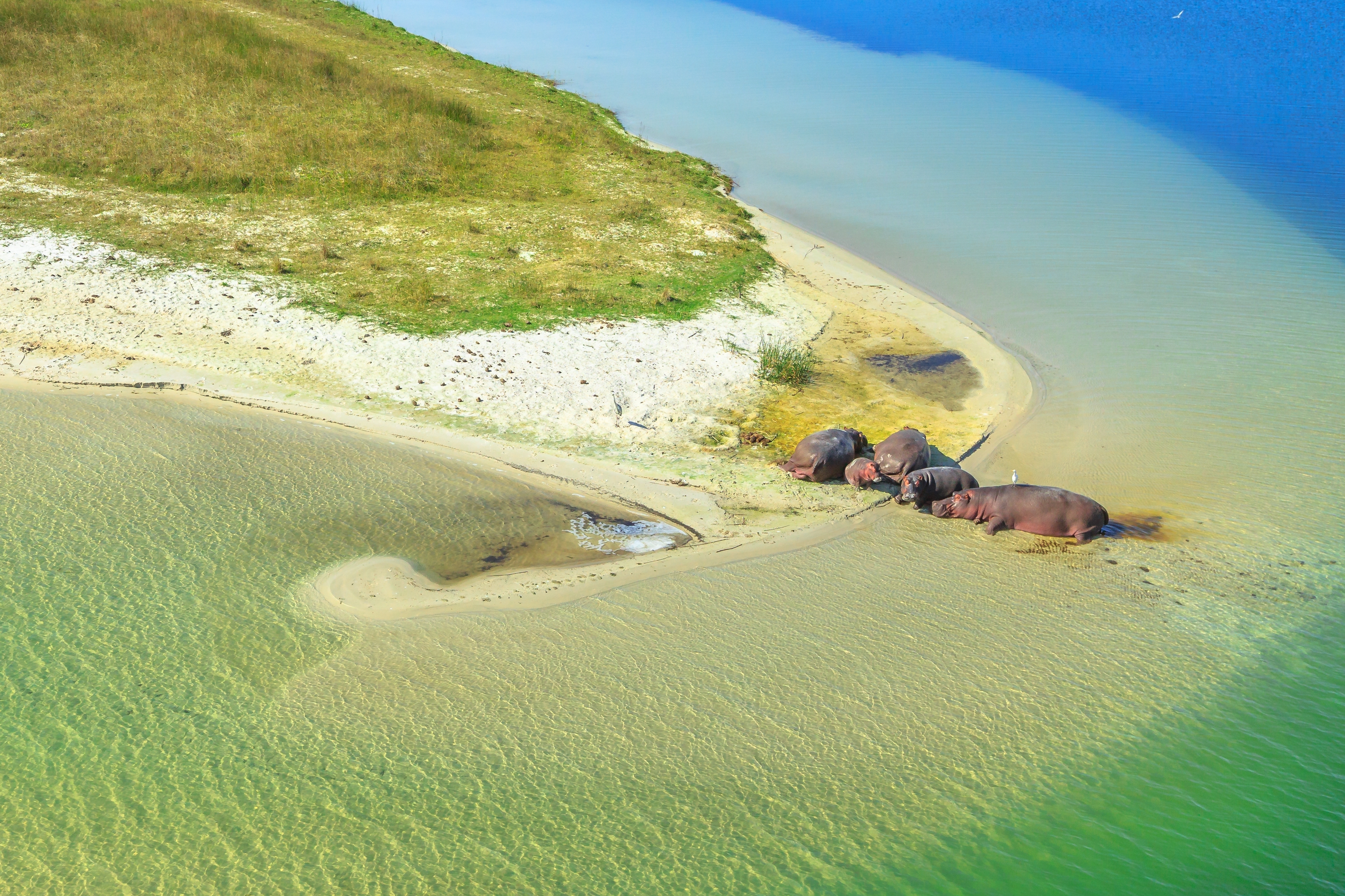 isimangaliso wetland park zuid afrika