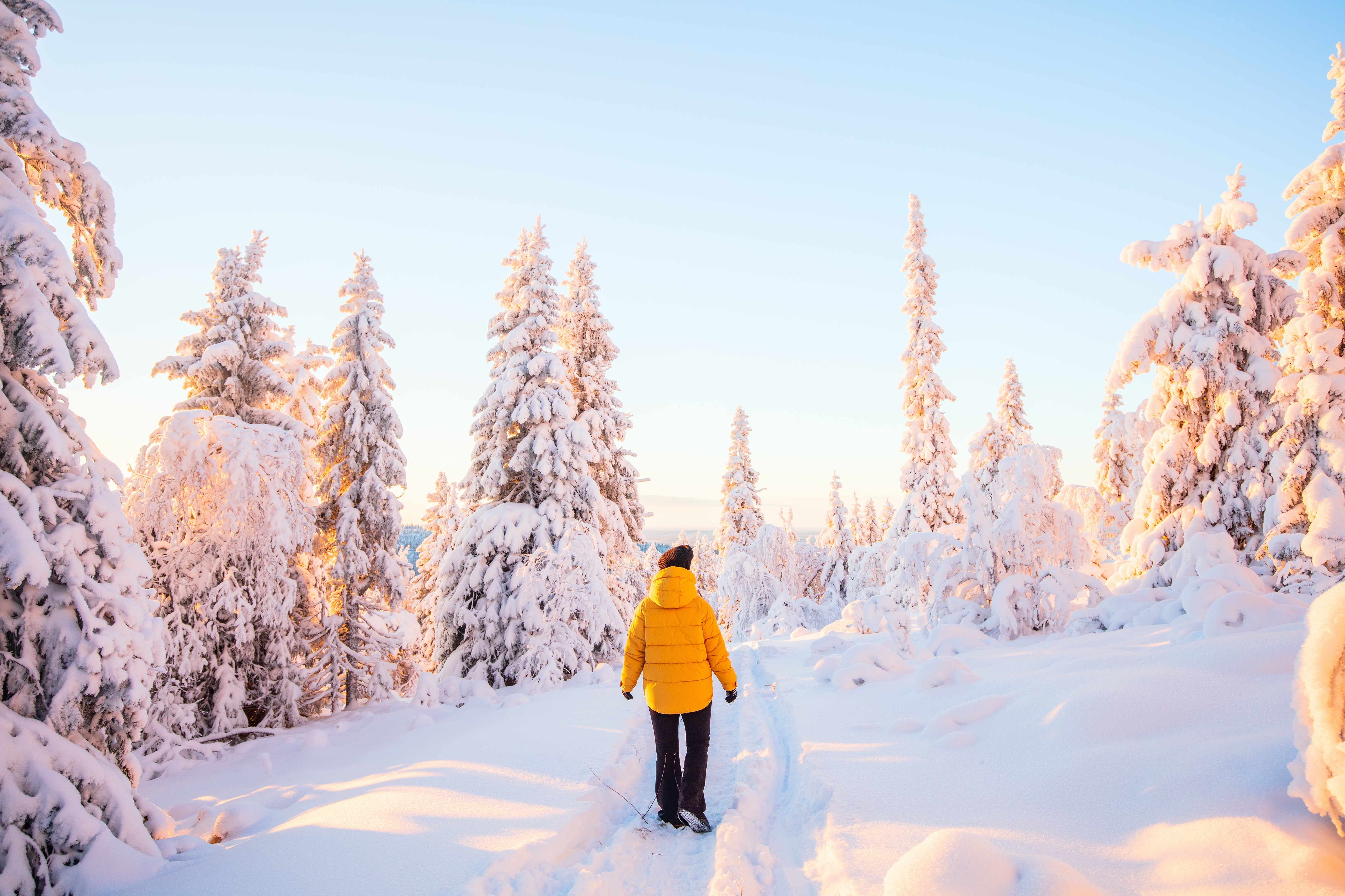 Actieve 8-daagse beleefreis Fins Lapland