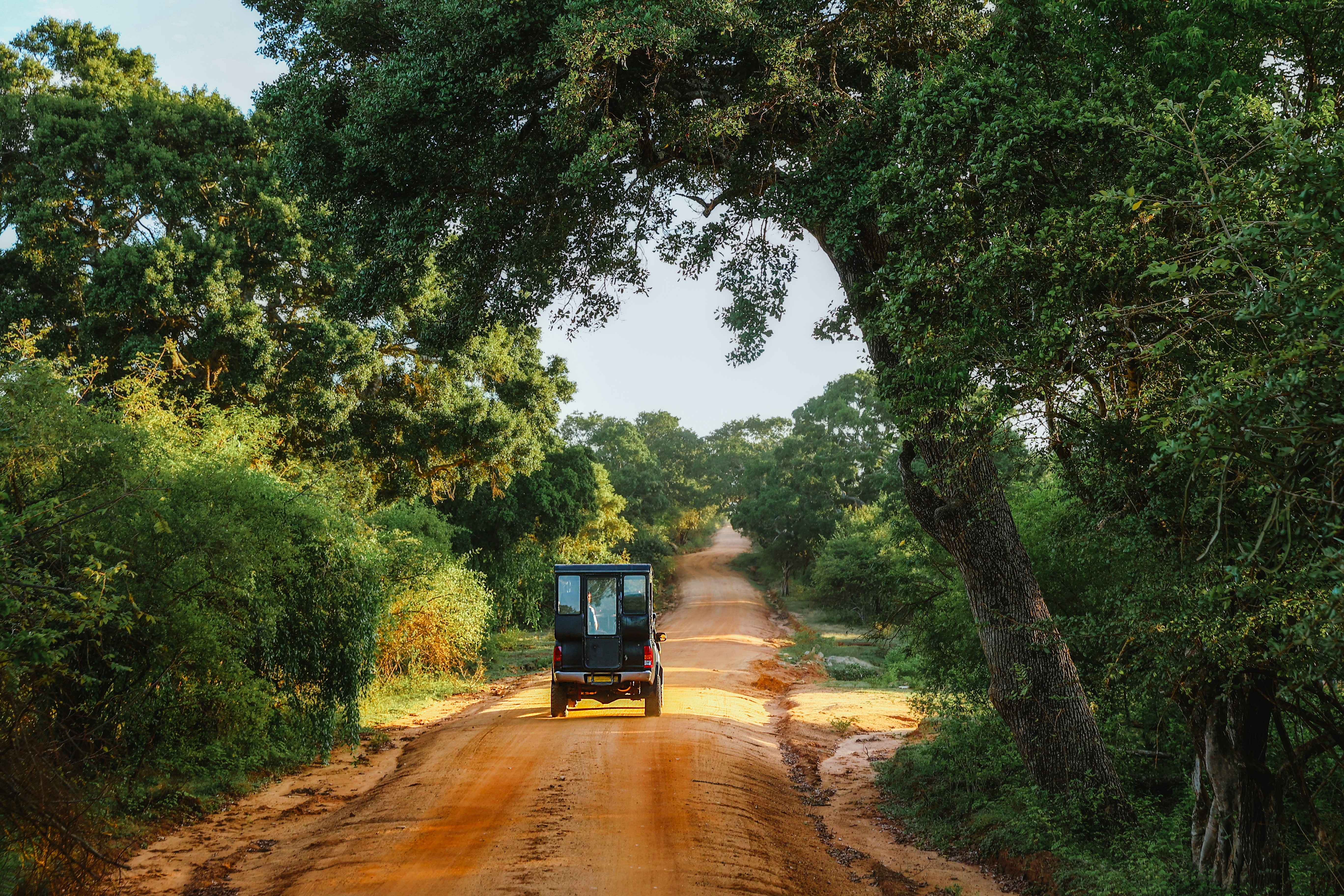 safari sri lanka