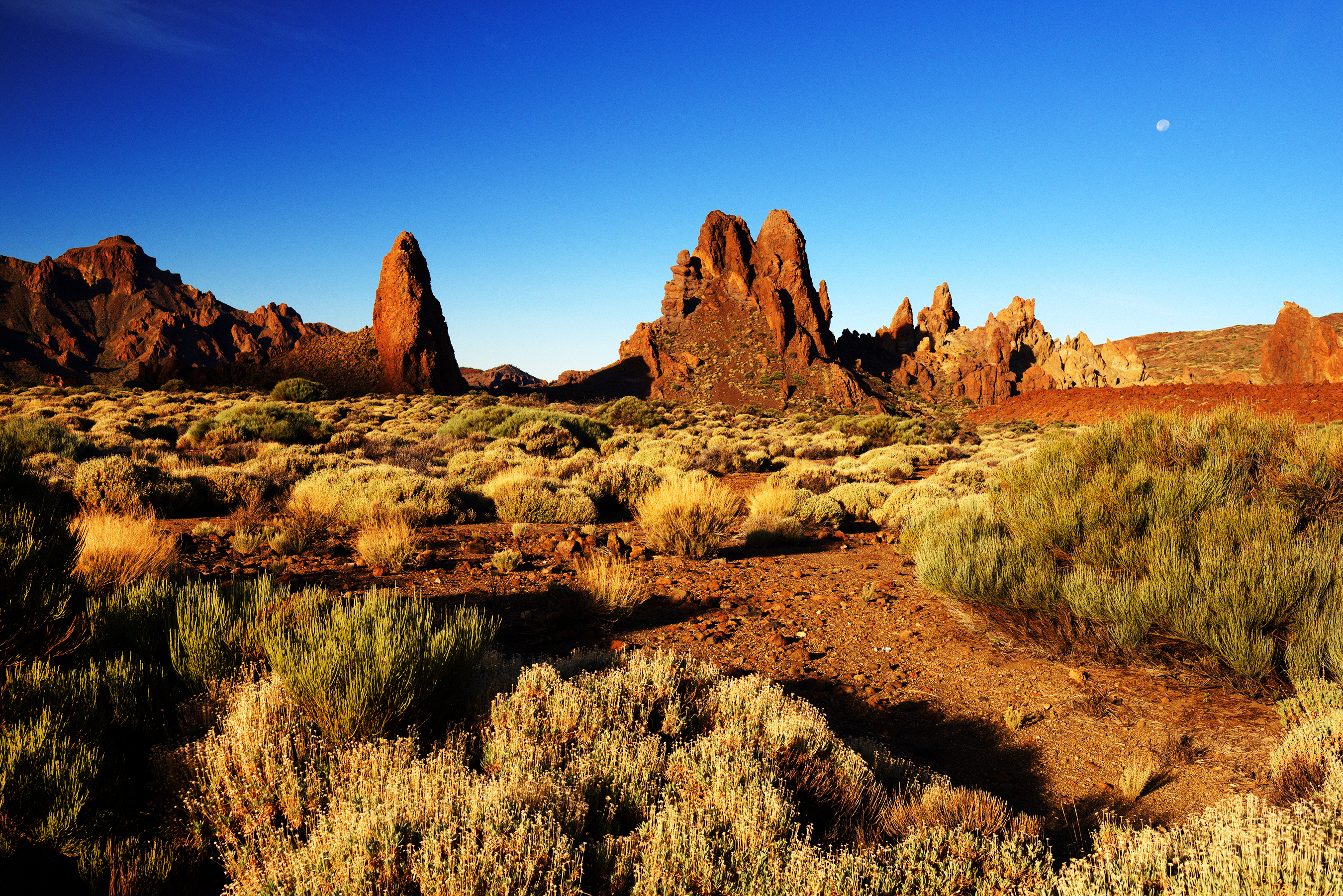 roques de garcia in sunrise light teide national park tenerife canary islands spain