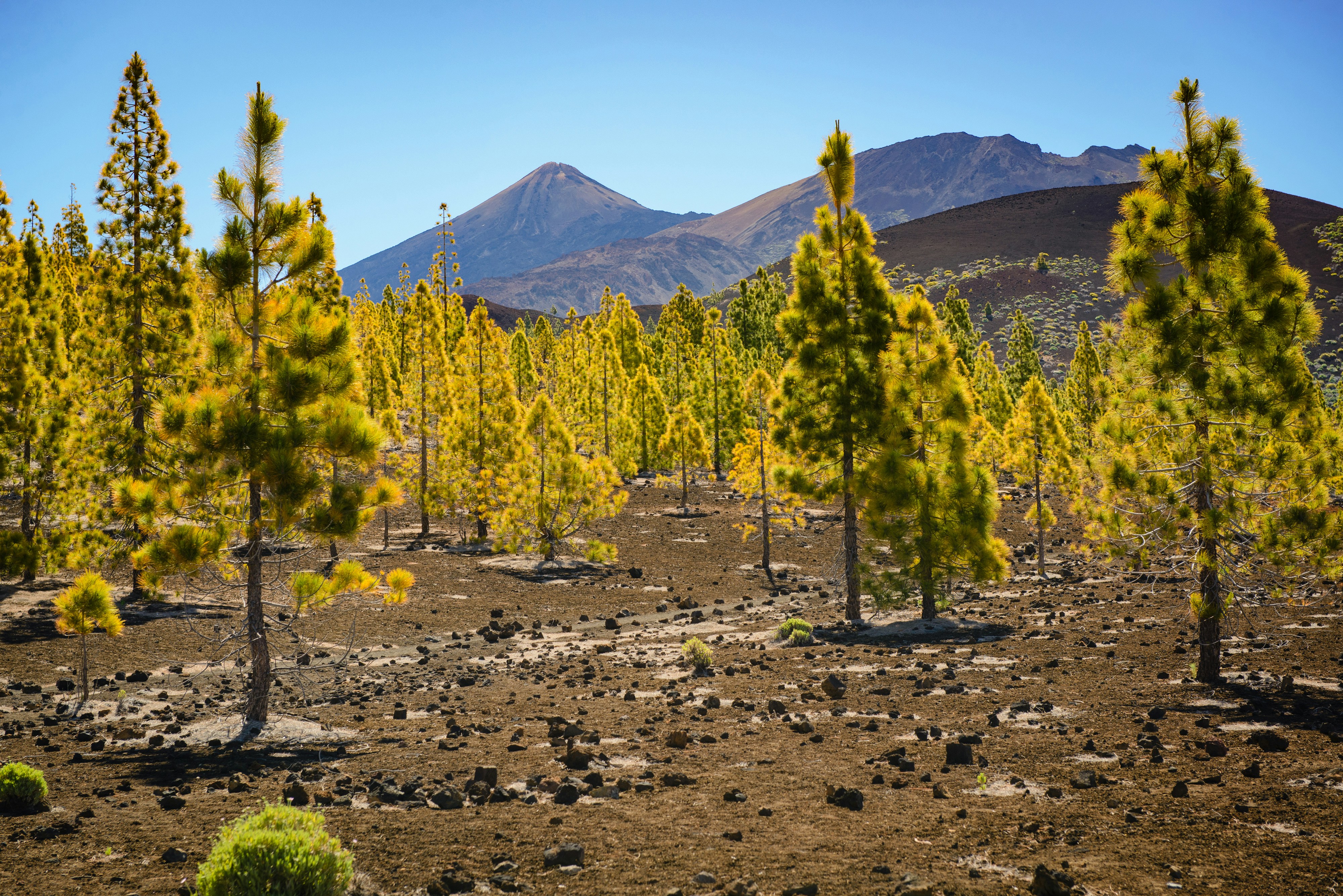 vulkaanlandschap el teide tenerife