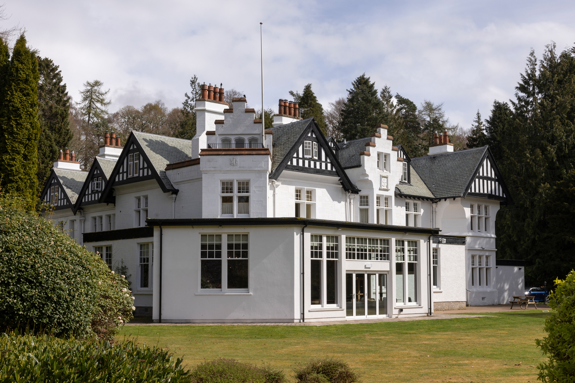 pine trees exterior
