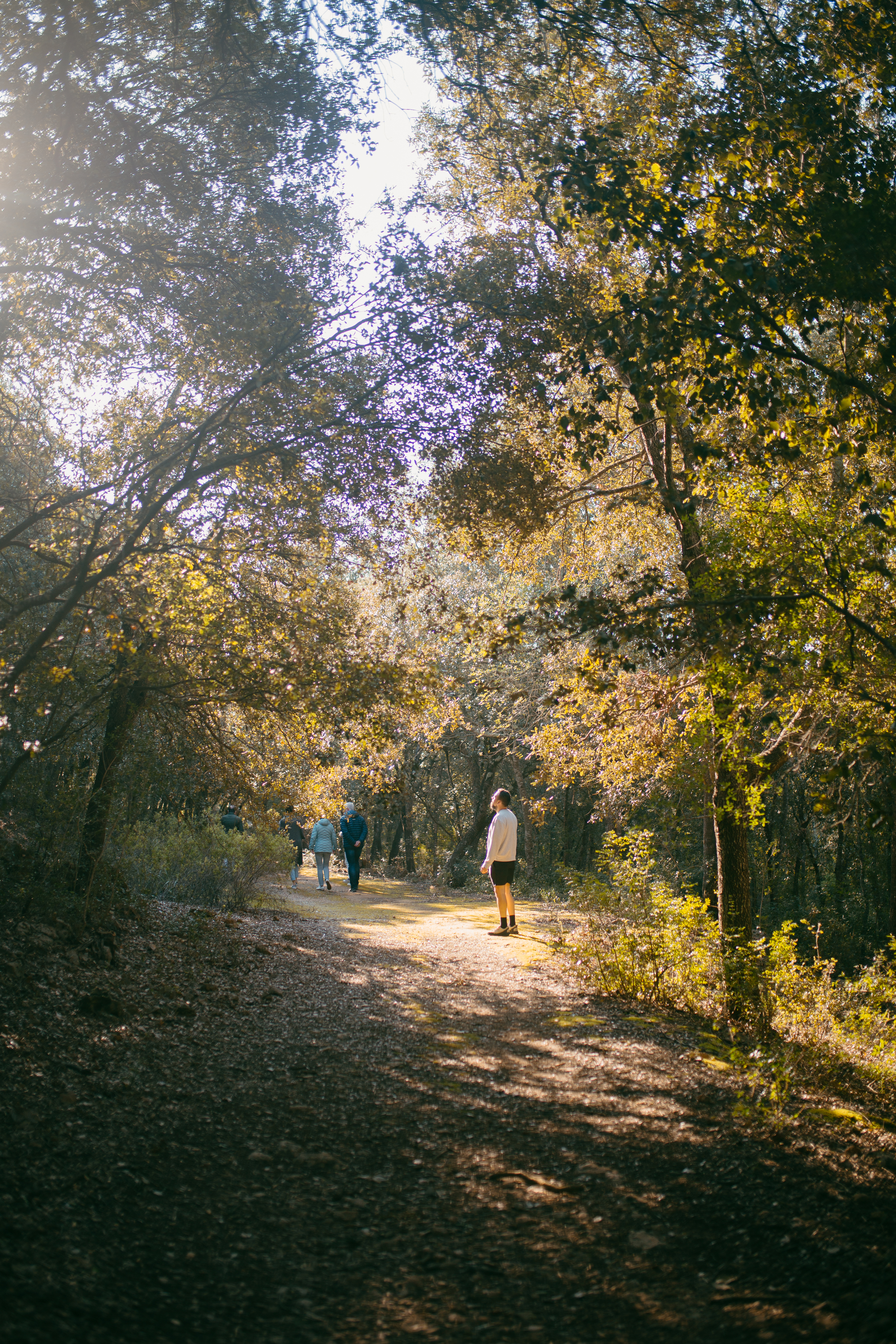 guided forest walk on the estate trail