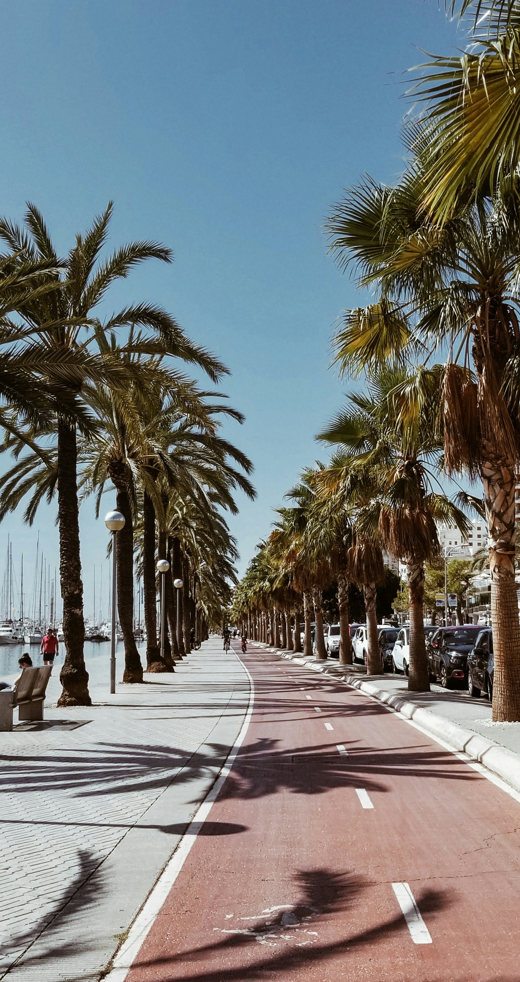palma de mallorca spanje