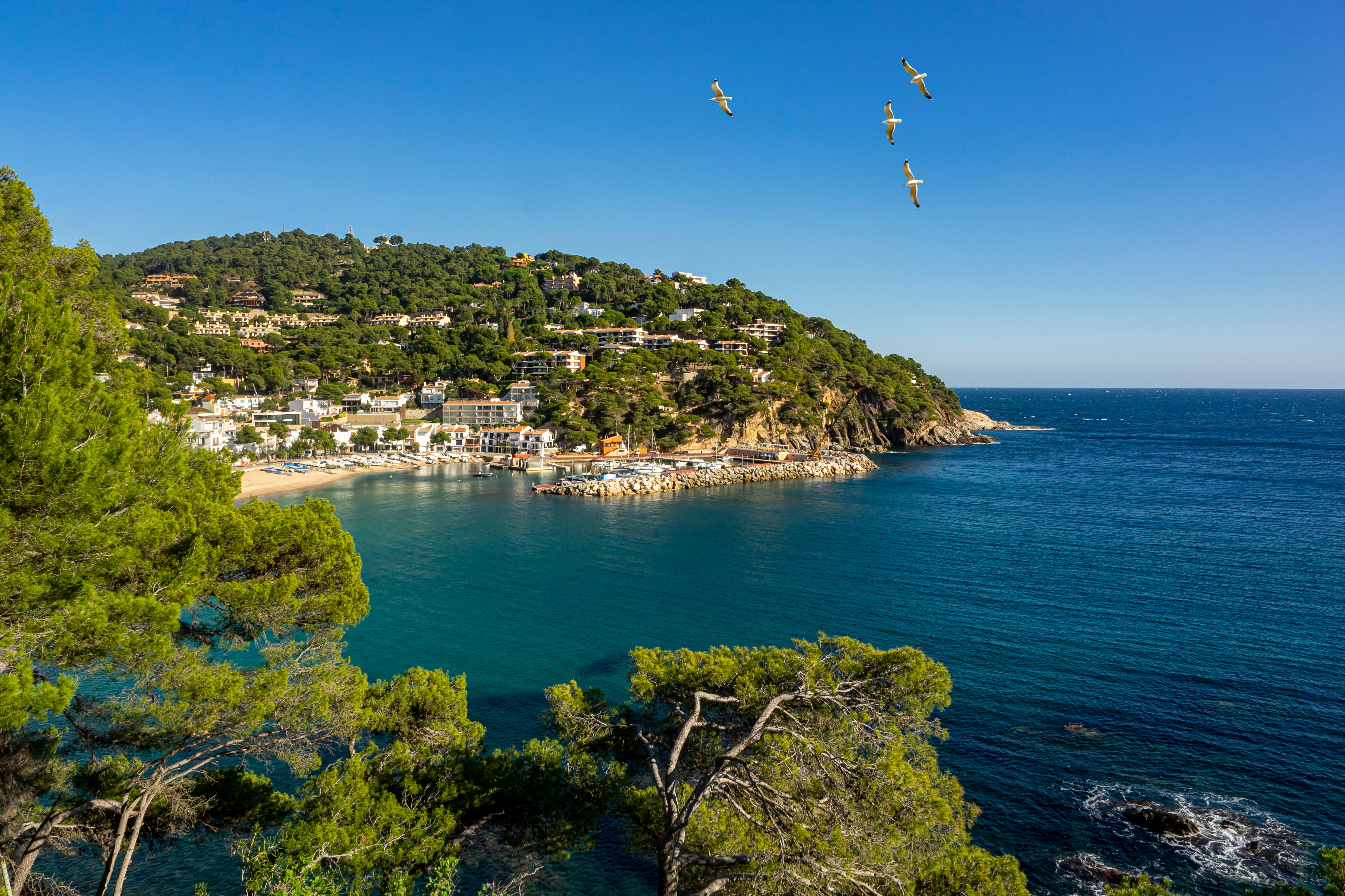 Catalonië