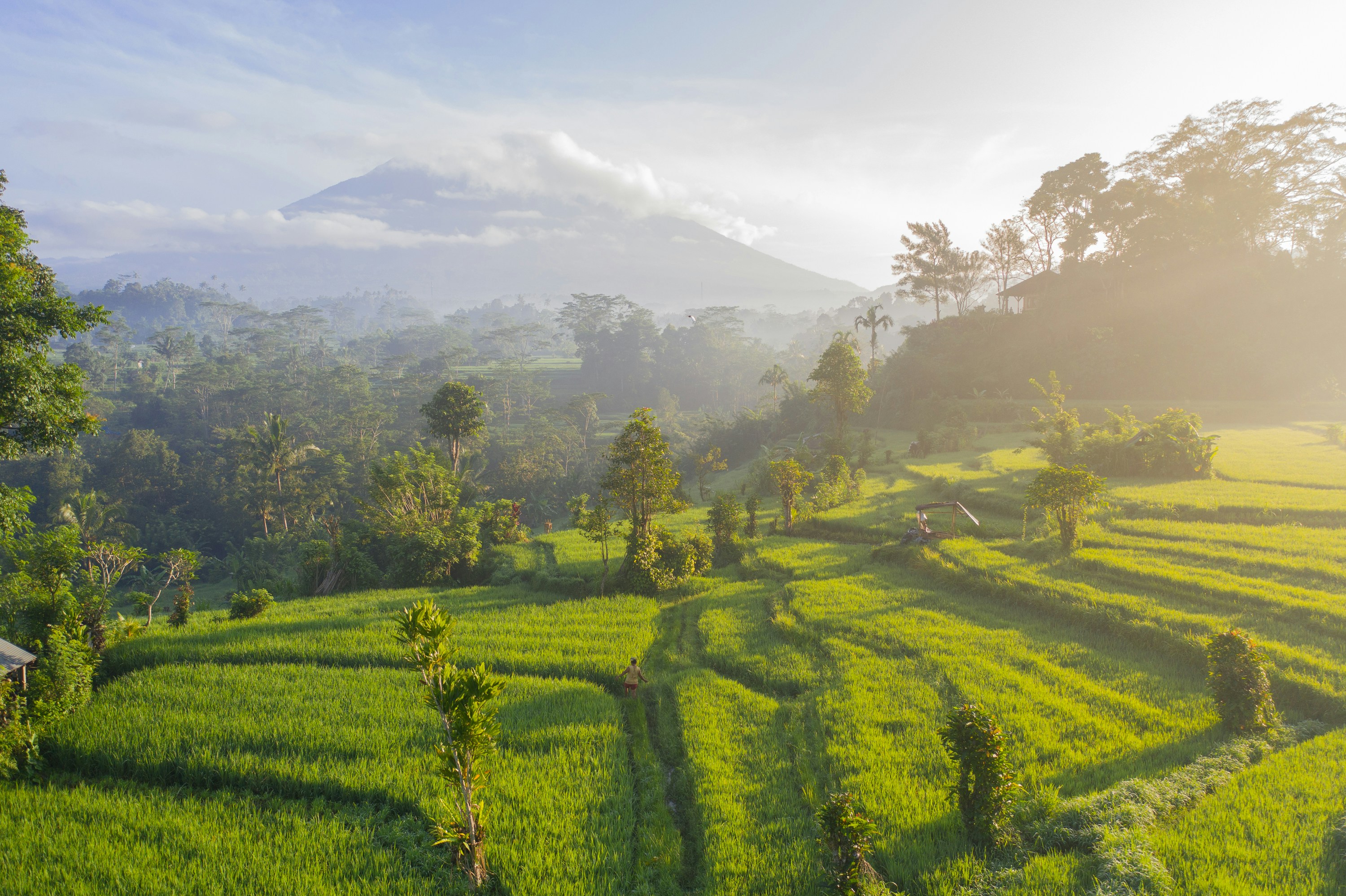 Rondreis Bali: authentieke route van Ubud naar Sidemen