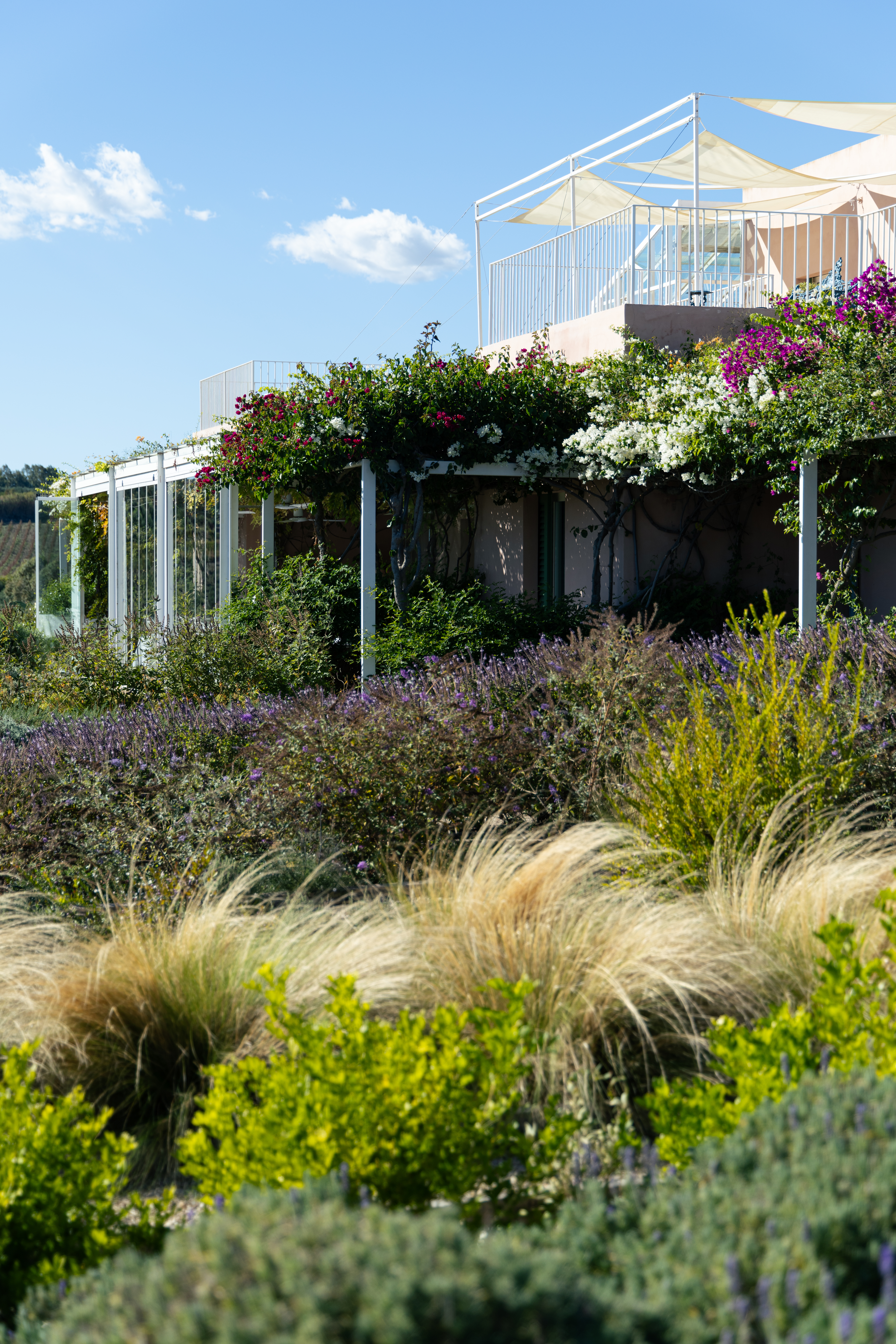 planeta giardino 9