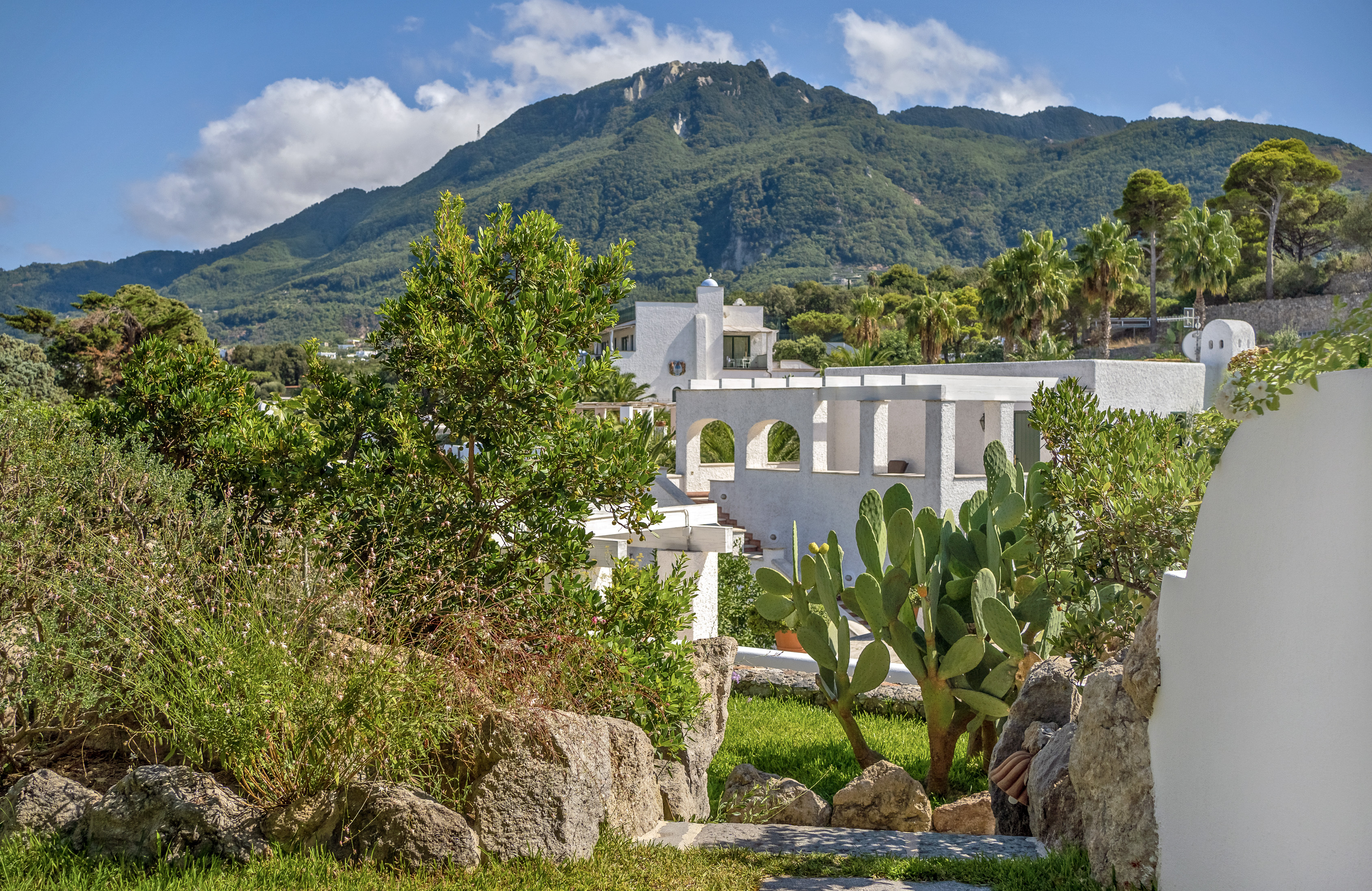 botania park and monte epomeo