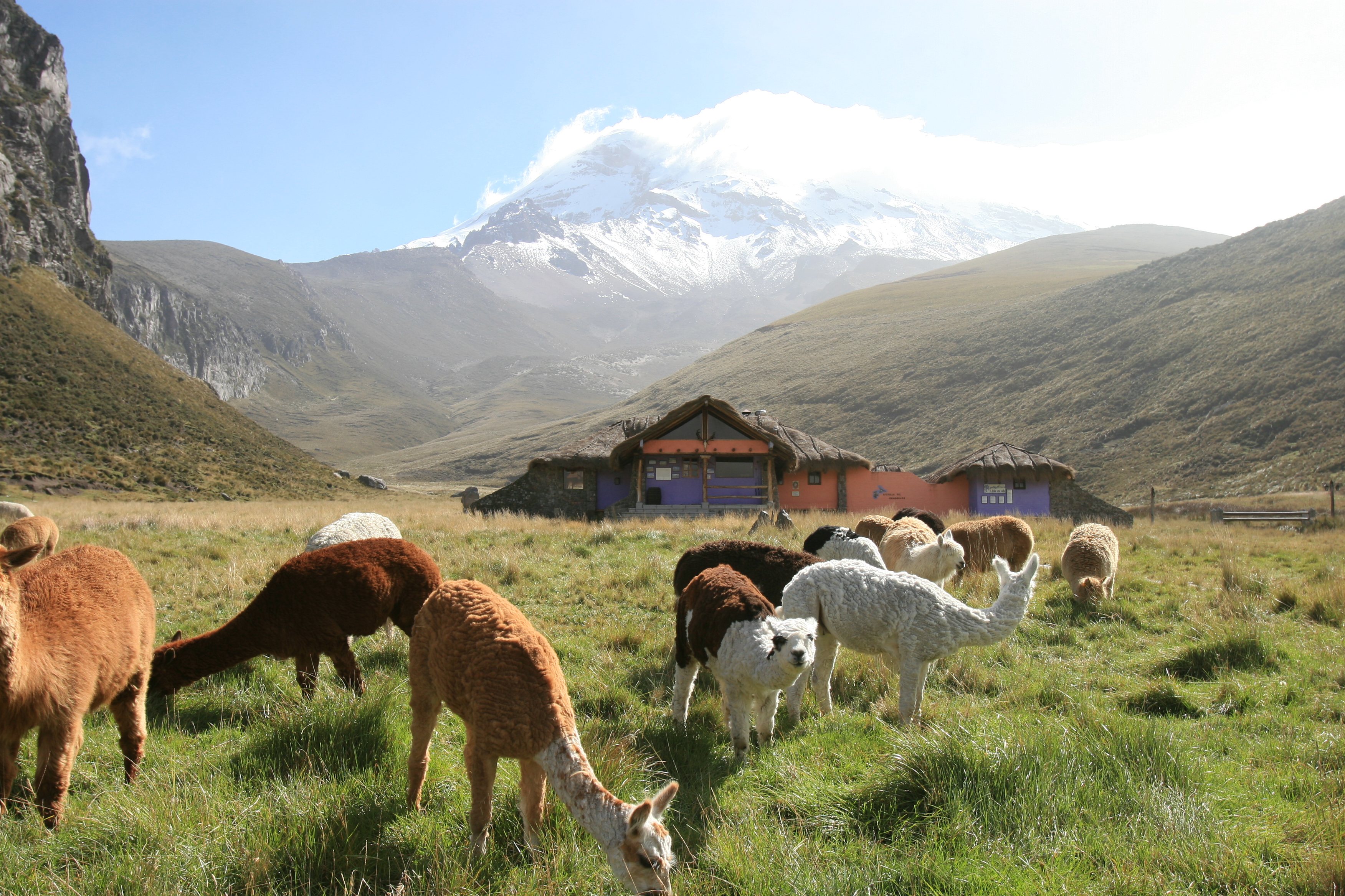 ar pn andes13 riobamba estrella del chimborazo foto0004
