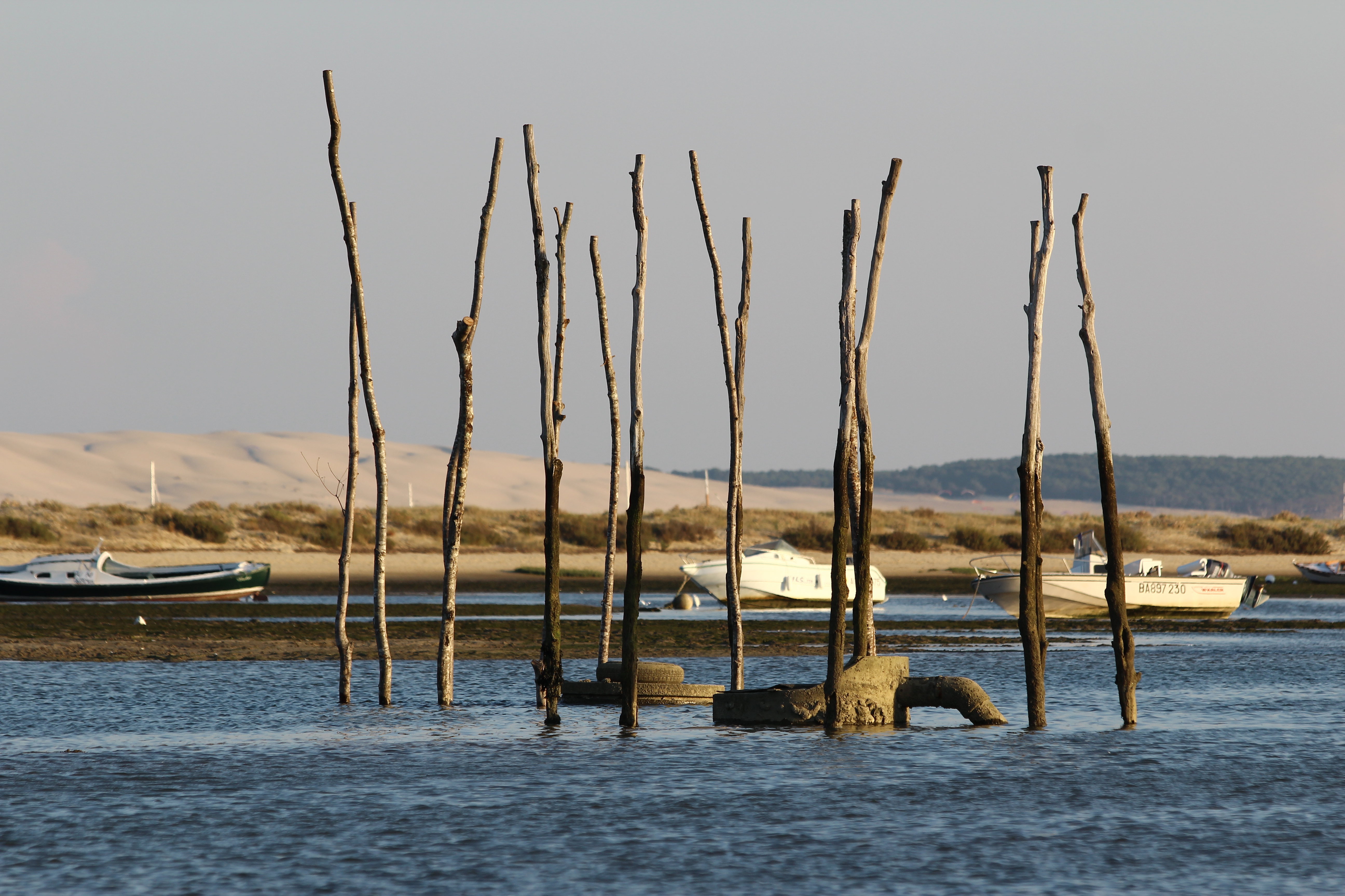 12 maanden reiskalender