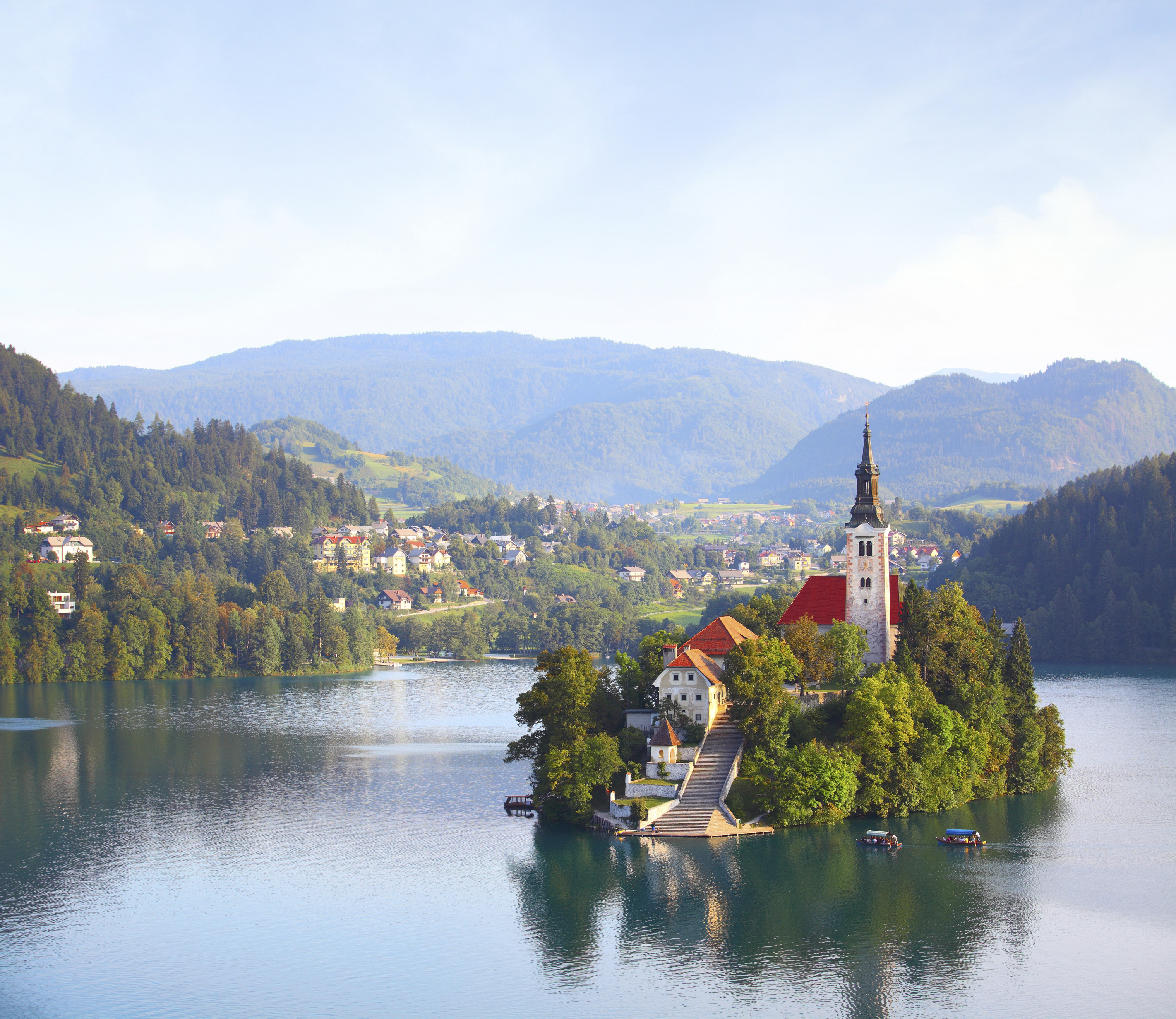 bled incentive