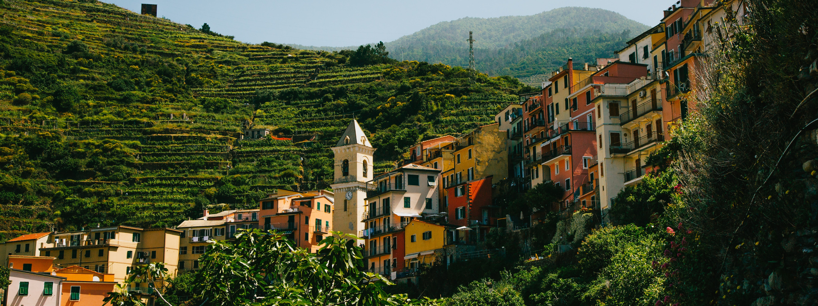 blog cinque terre header