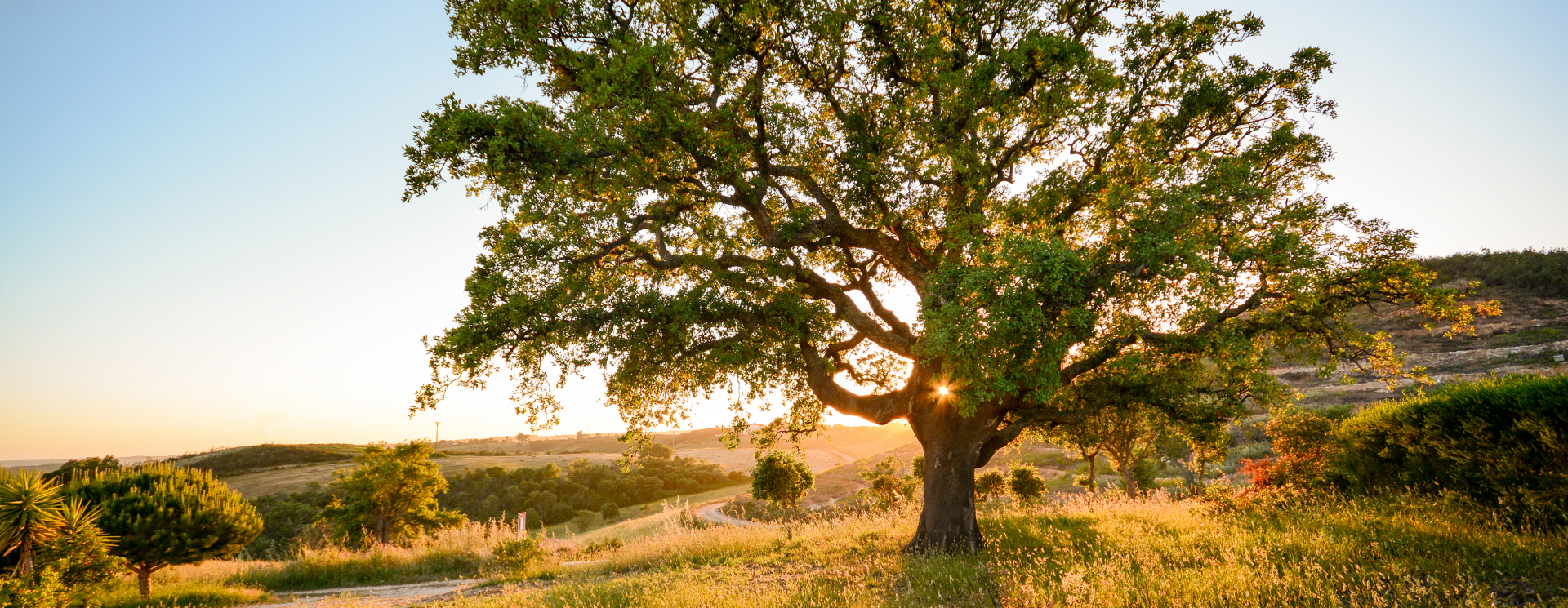 cover 6 redenen voor een sublieme reis naar alentejo