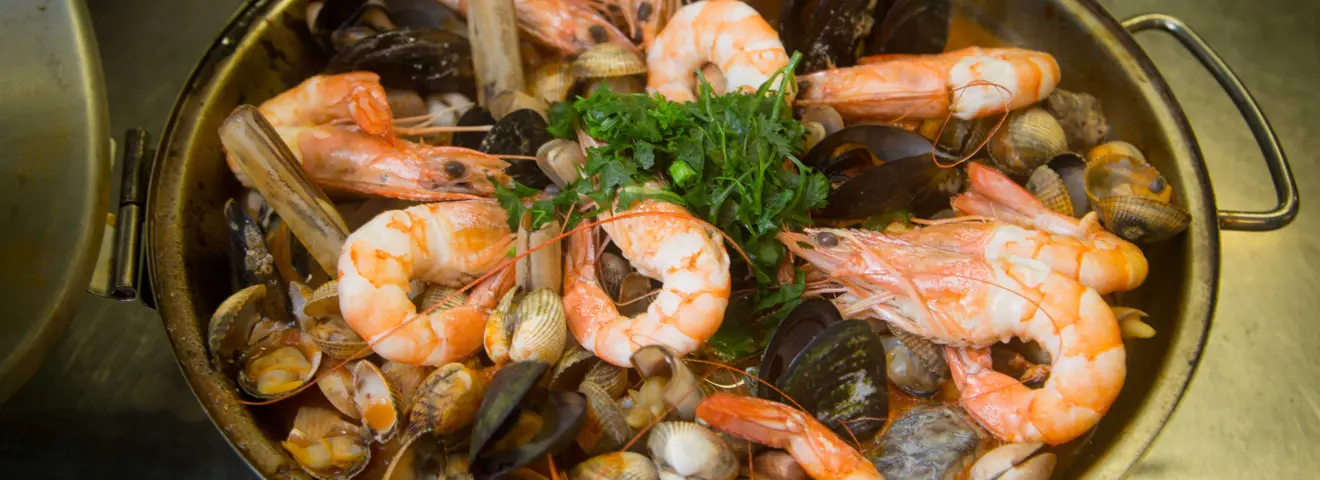 cover gastronomie in de algarve