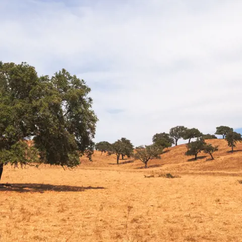 Lekkere gerechten uit de Alentejo