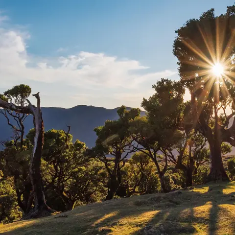 Madeira, schoonheid ligt in haar natuur!