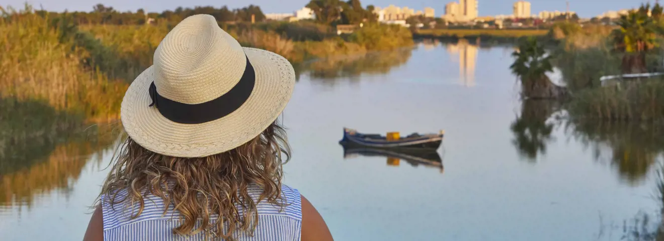 cover natuur in valencia de valenciaanse boomgaard