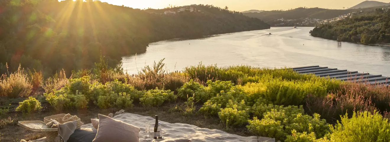 cover op weg van kust naar kust op de nacional 222