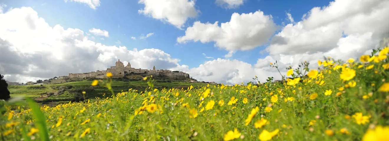 cover verken het groene malta