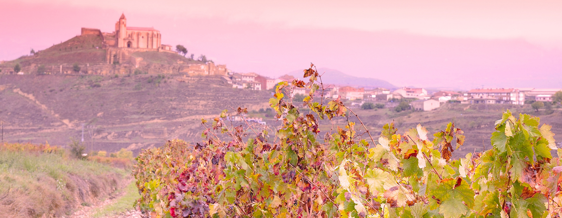 cover wine not la rioja