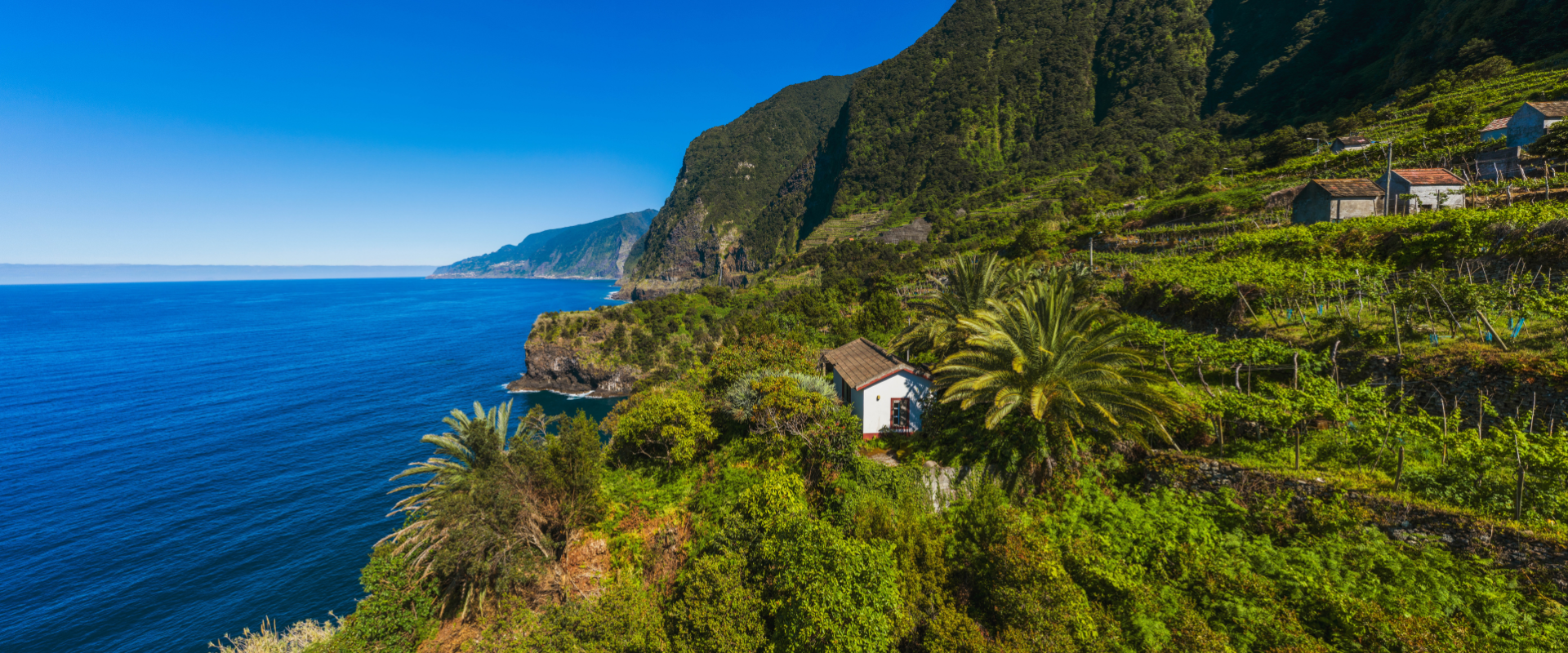 hoofding website 7 redenen madeira