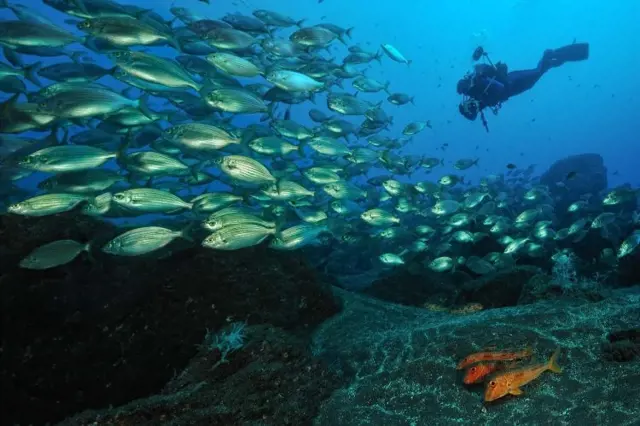 section actieve vakantie op madeira de leukste activiteiten 3