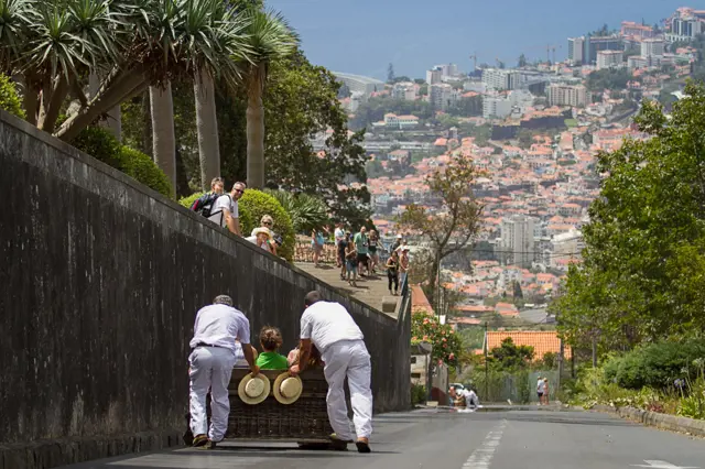 section de toboggans van madeira 0