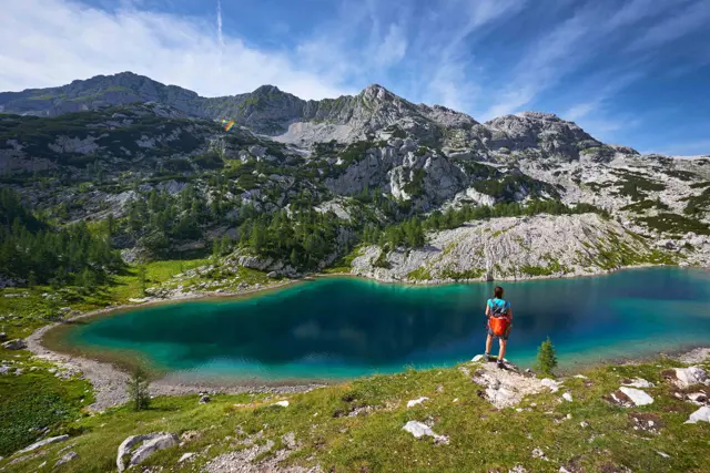 section najaar in slovenie 2