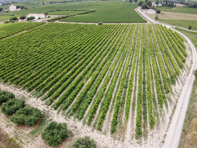 section ontdek spanje aan de hand van zijn wijnen 5