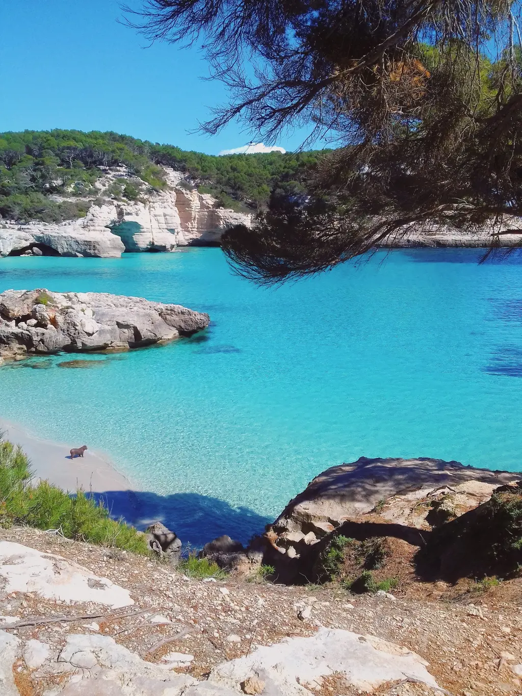 cala mitjana in menorca