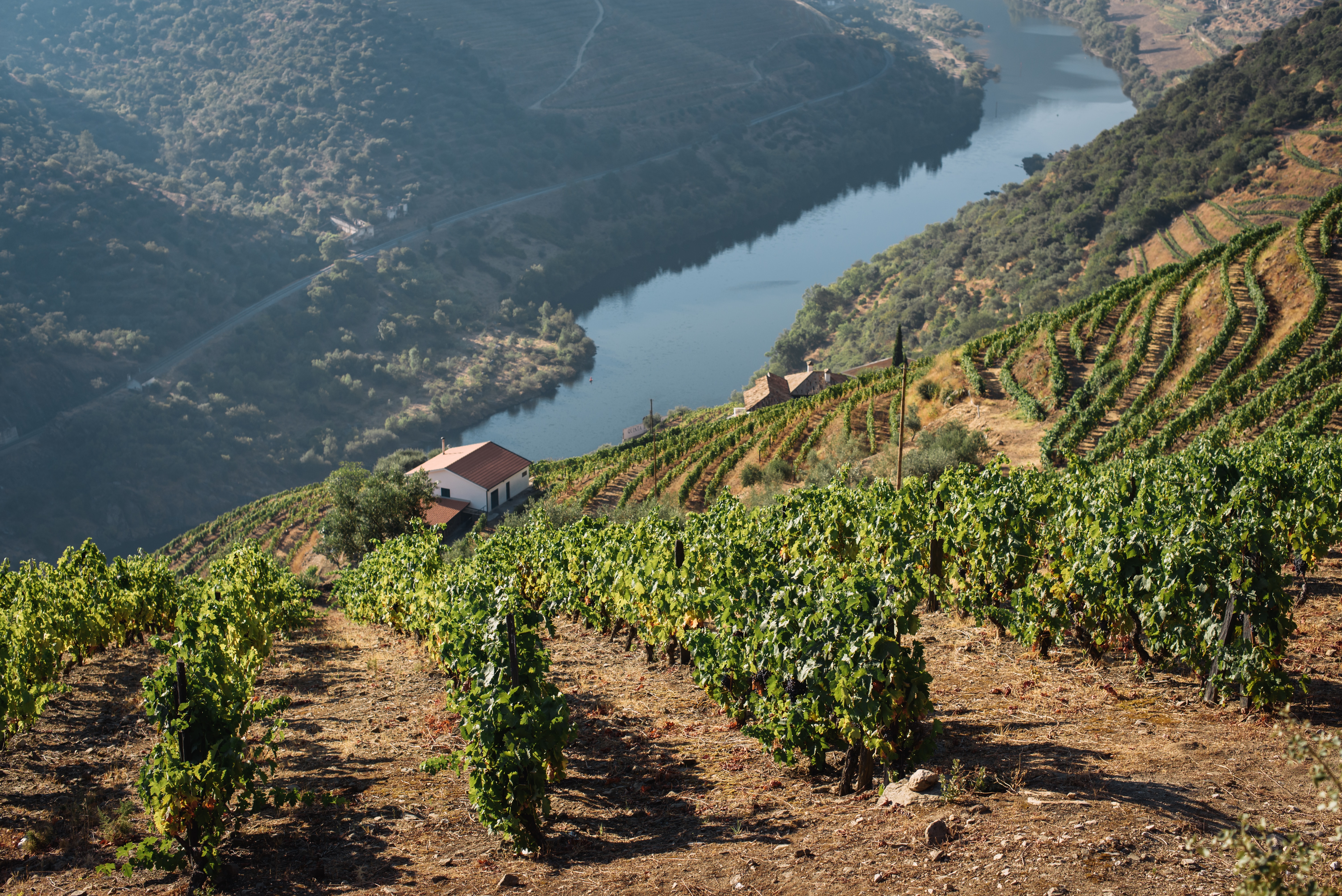 douro 1