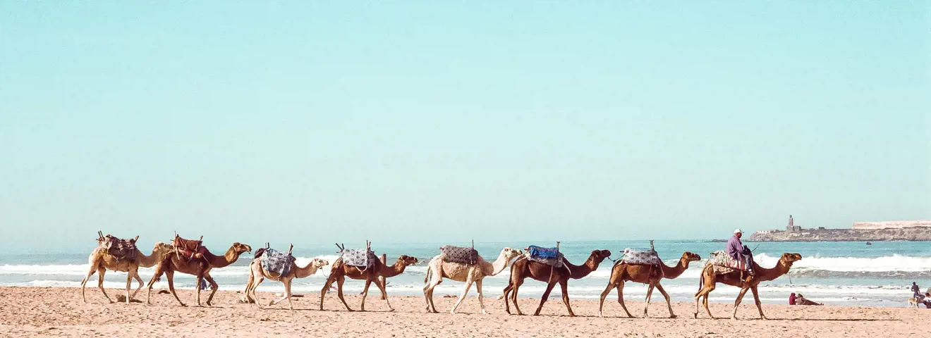 essaouira morocco