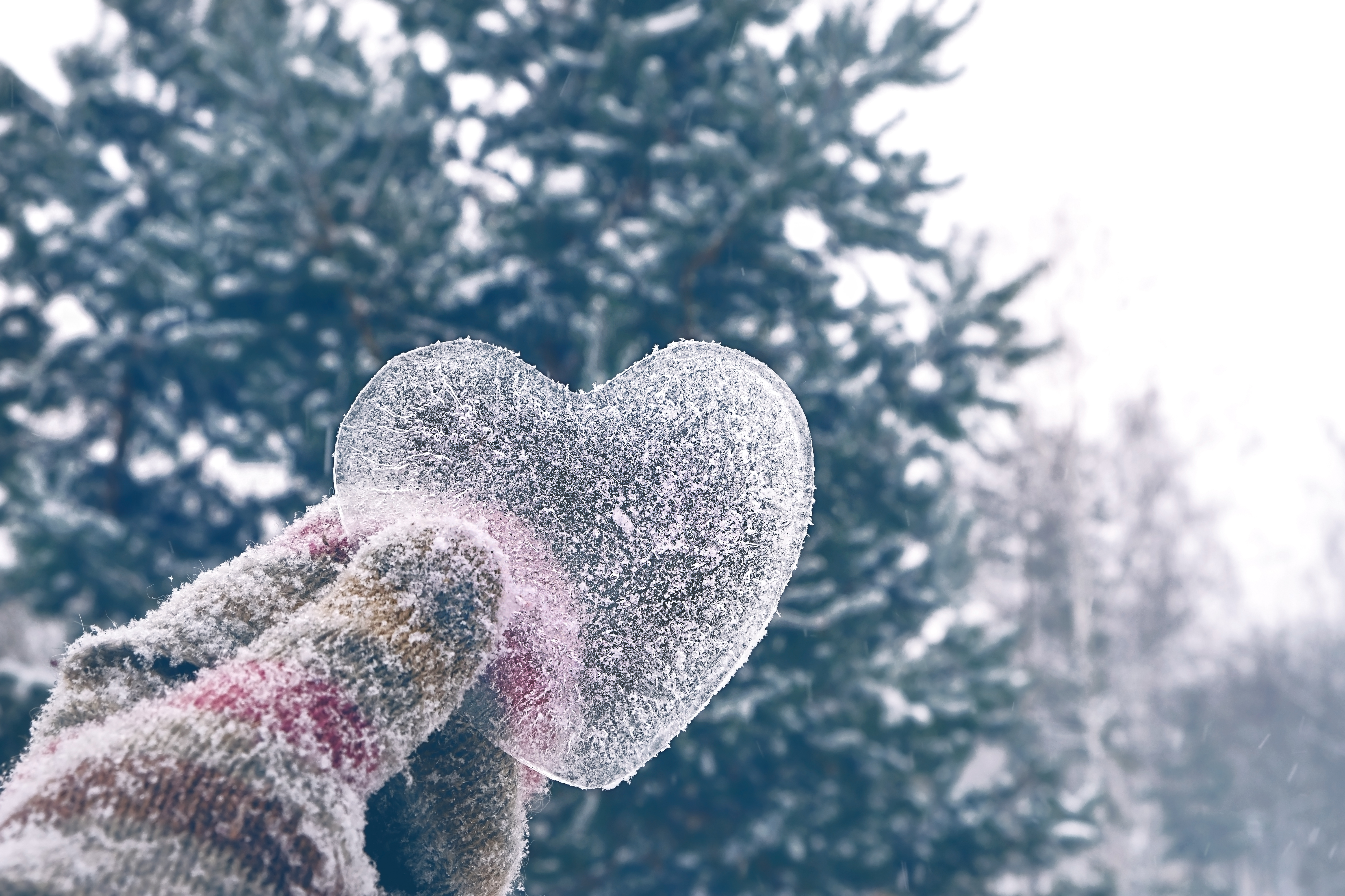 Krokusvakantie 2026 met Caractère