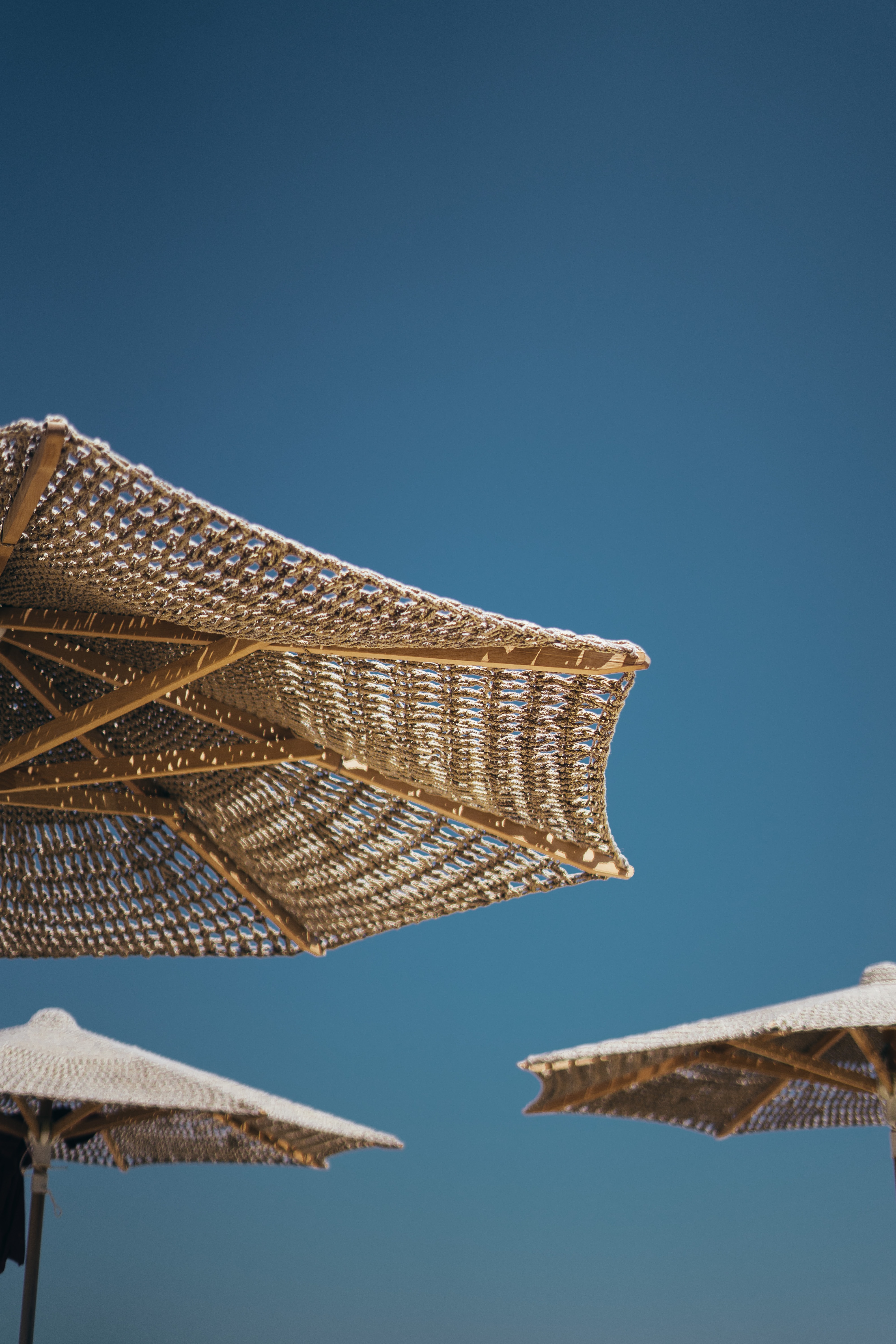 jardin tropezina unsplash
