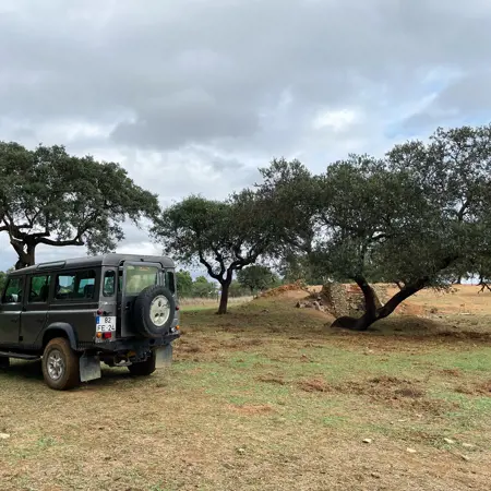 jeep en boom alentejo portugal