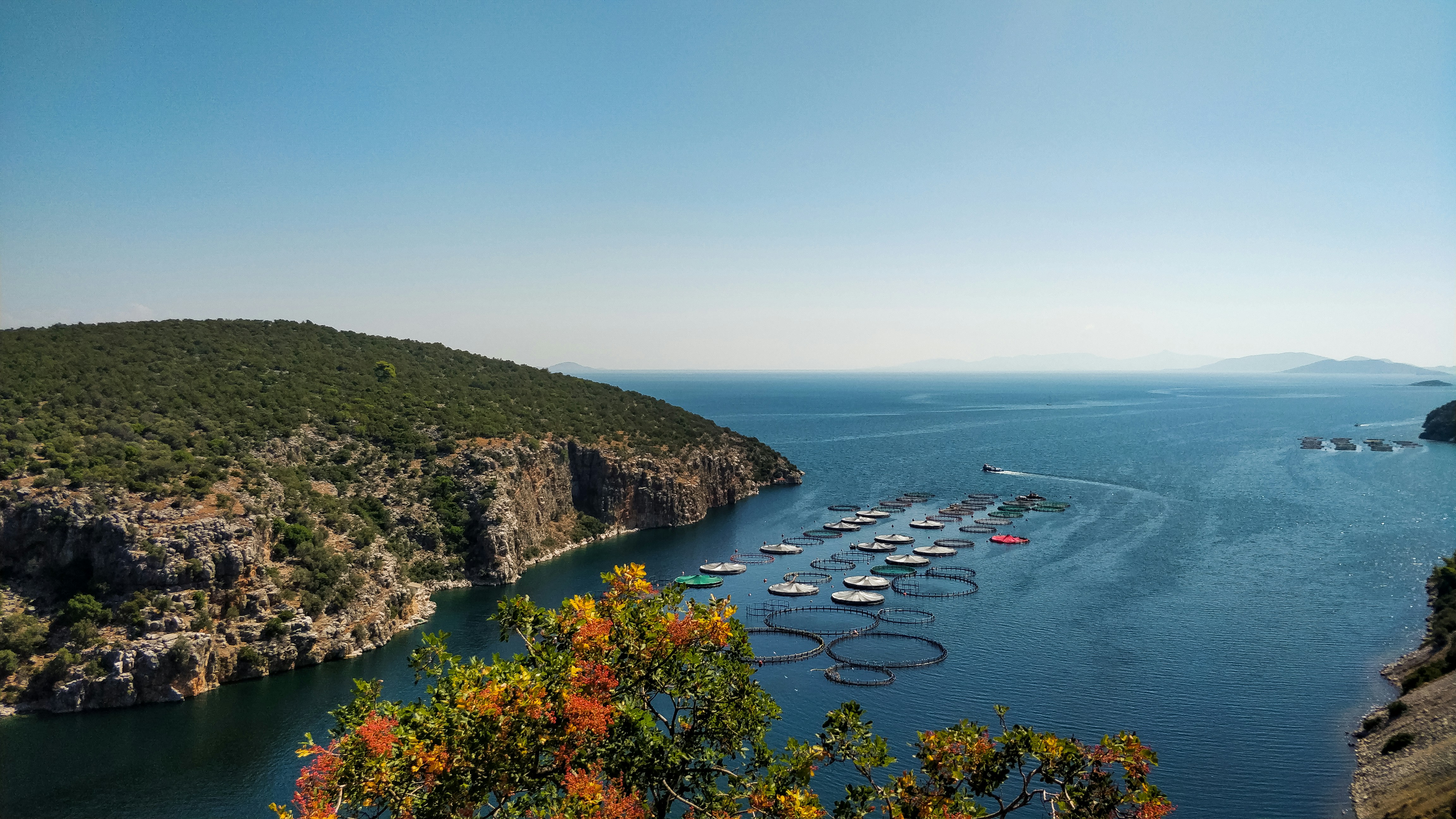 kostas vrouvas ula bhoauhy unsplash