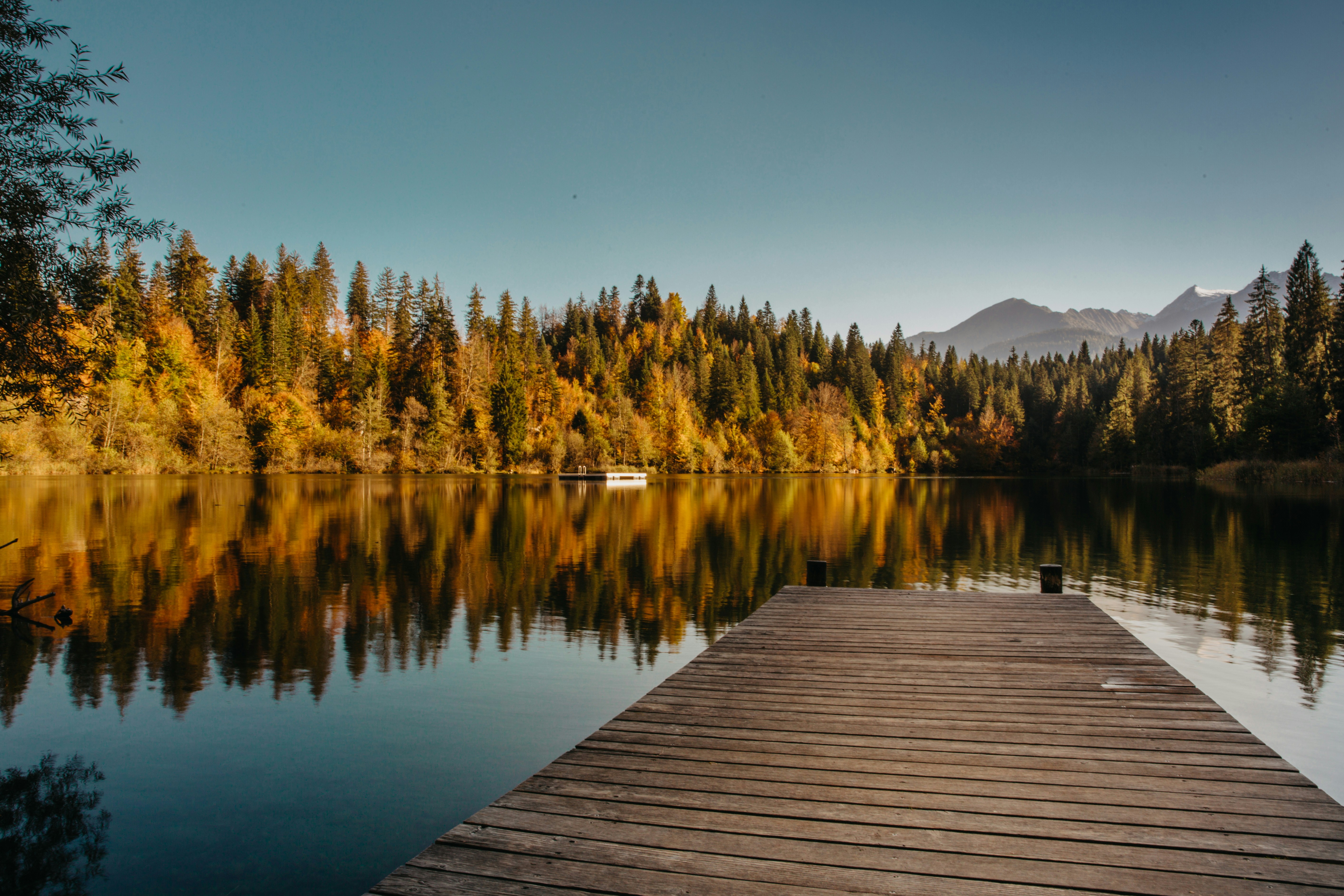 kevin schmid ichhy 4evuy unsplash